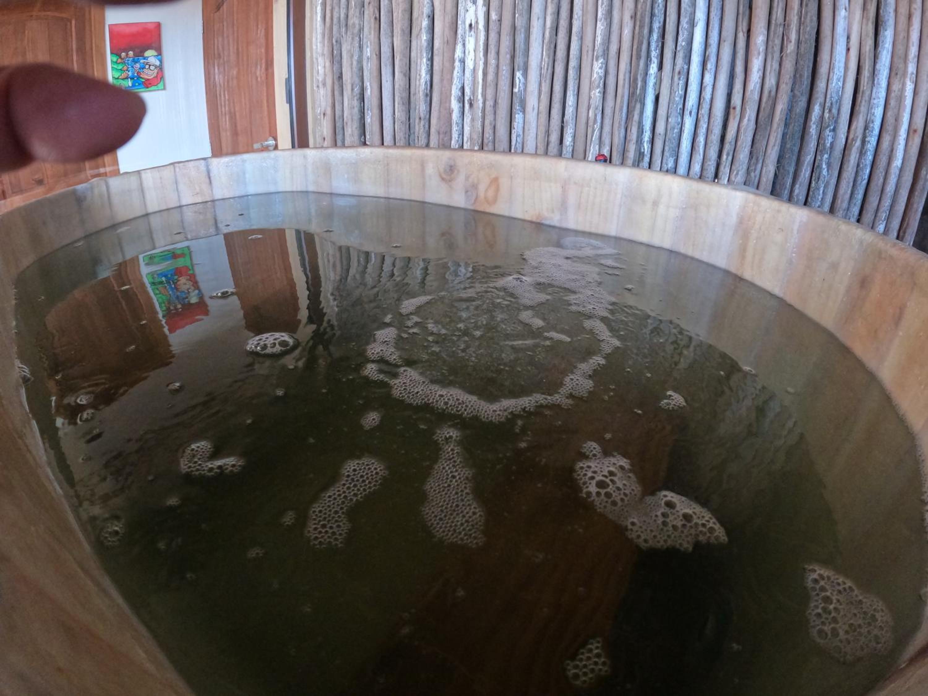 Double Room with Sea View and Hot Tub photo 2