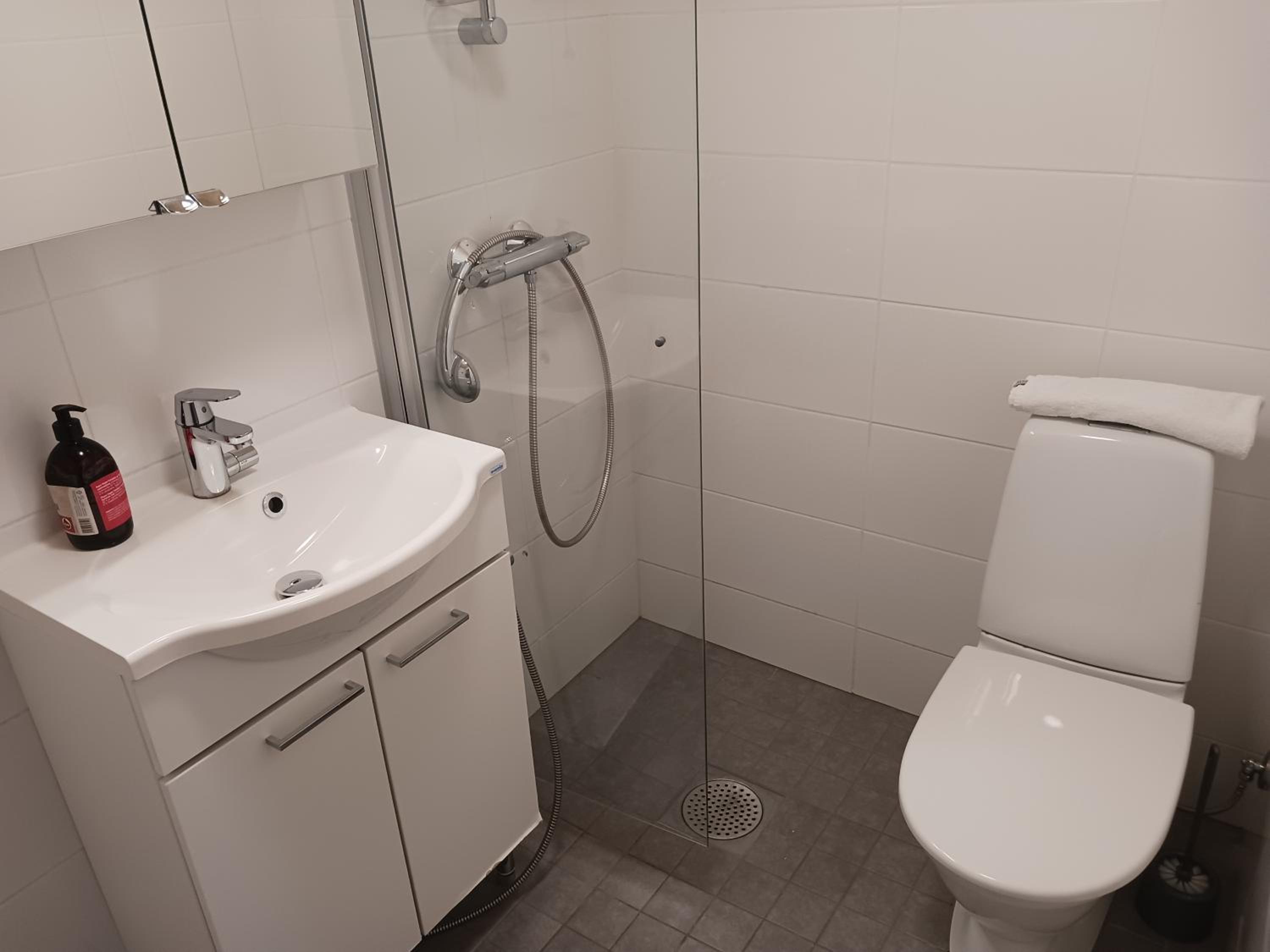One-Bedroom Apartment photo 3
