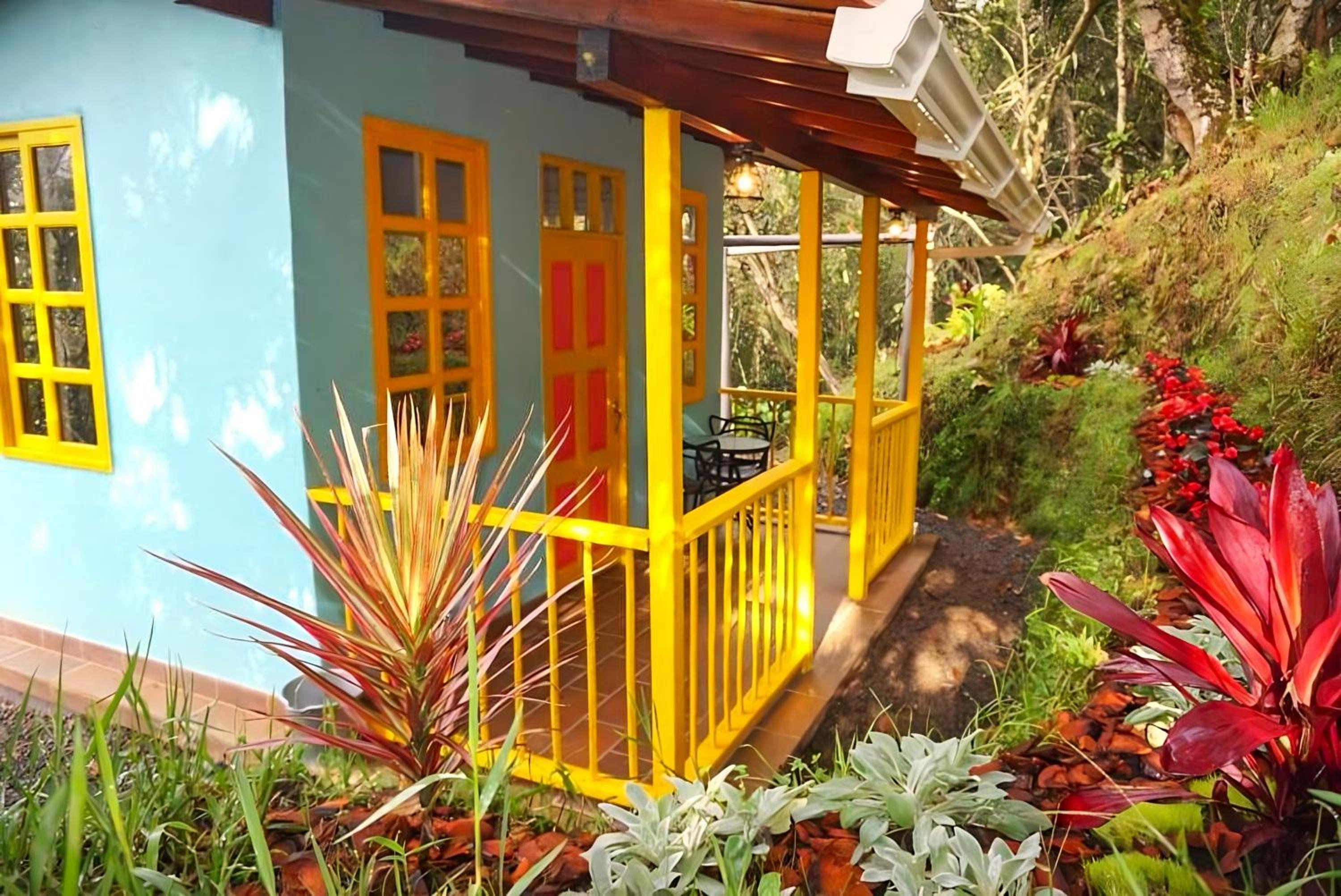 One-Bedroom House photo 2