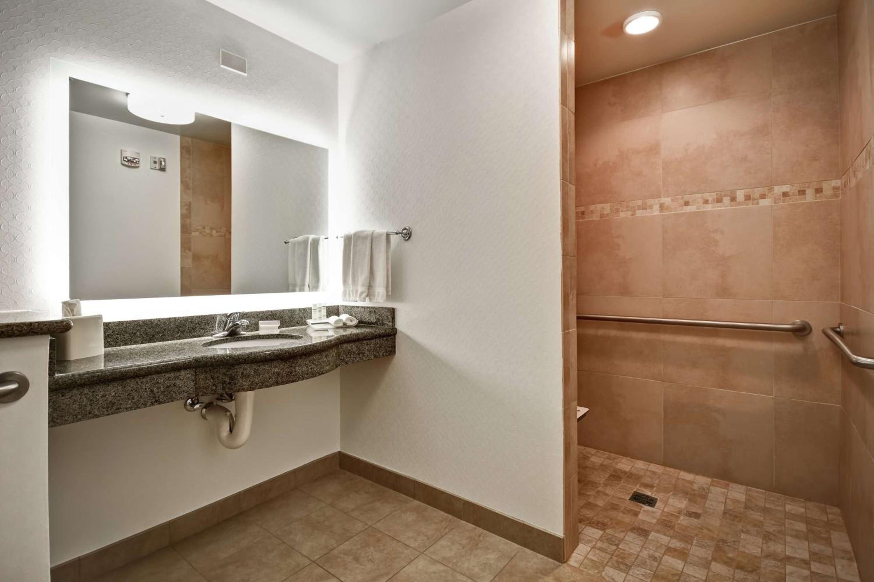 King Room with Roll-In Shower - Mobility/Hearing Accessible photo 2