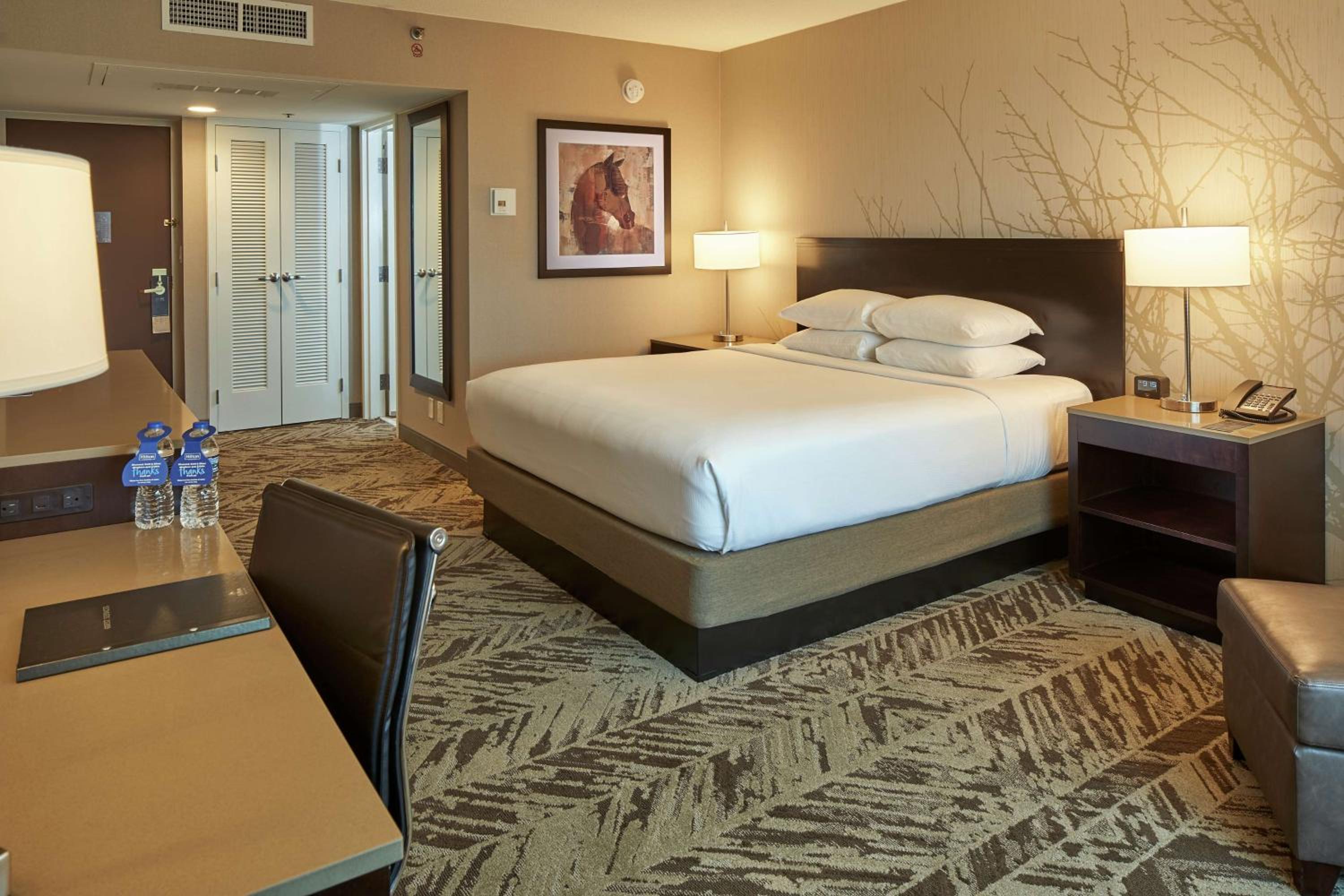 King Room - Photo 6