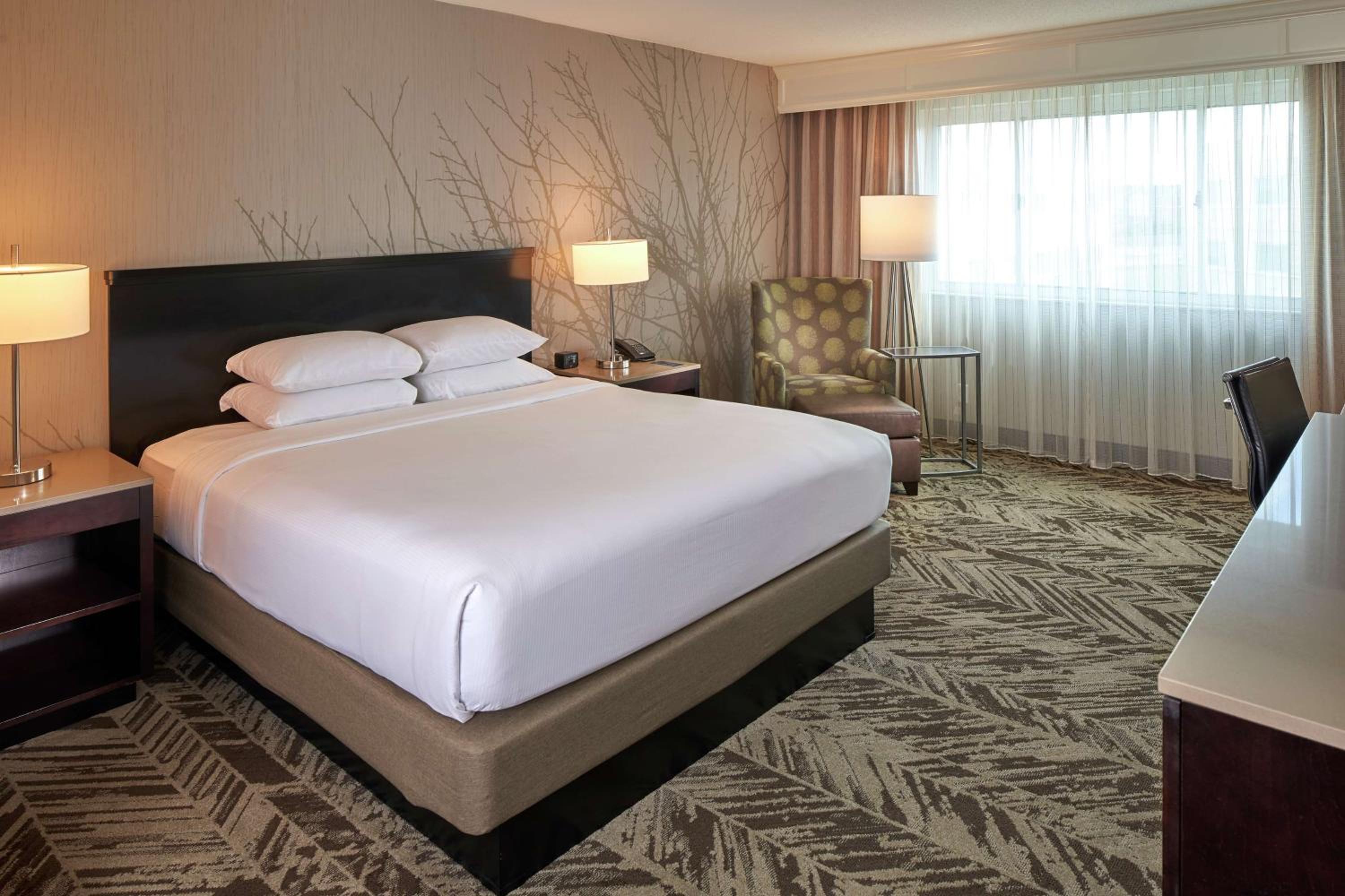 King Room - Photo 5