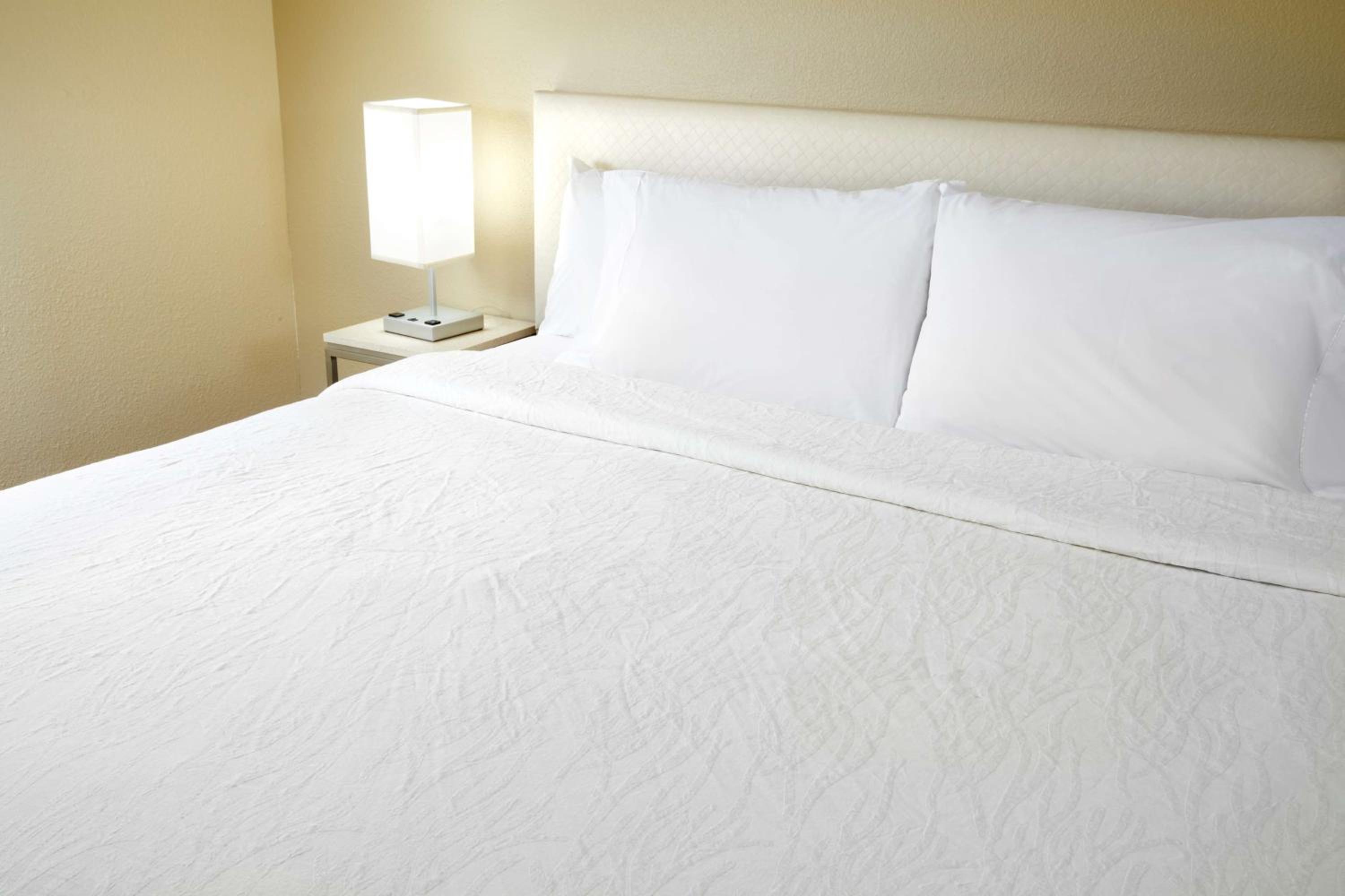 One-Bedroom King Suite - Photo 4
