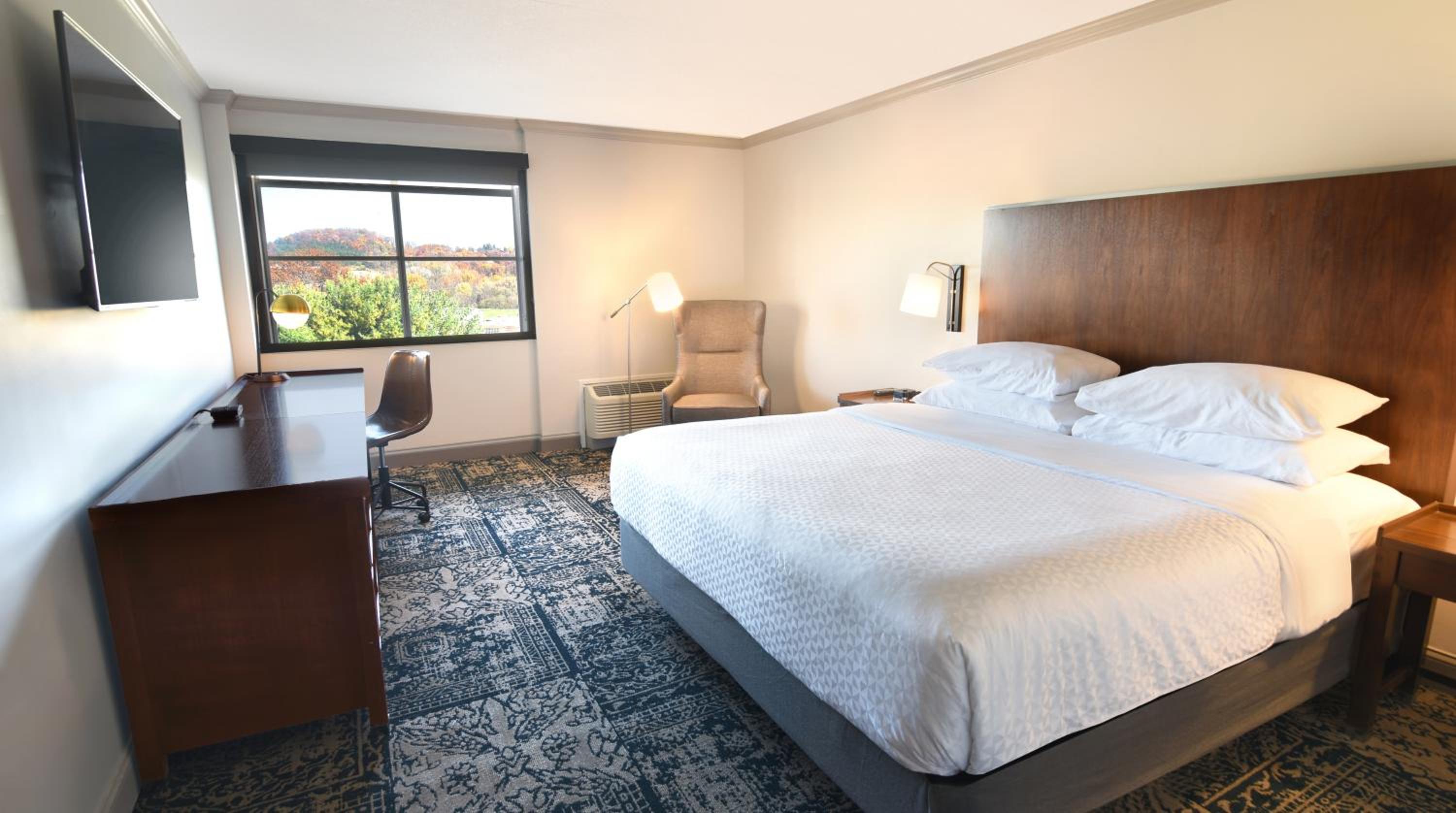 Deluxe One-Bedroom Junior Suite - Photo 1