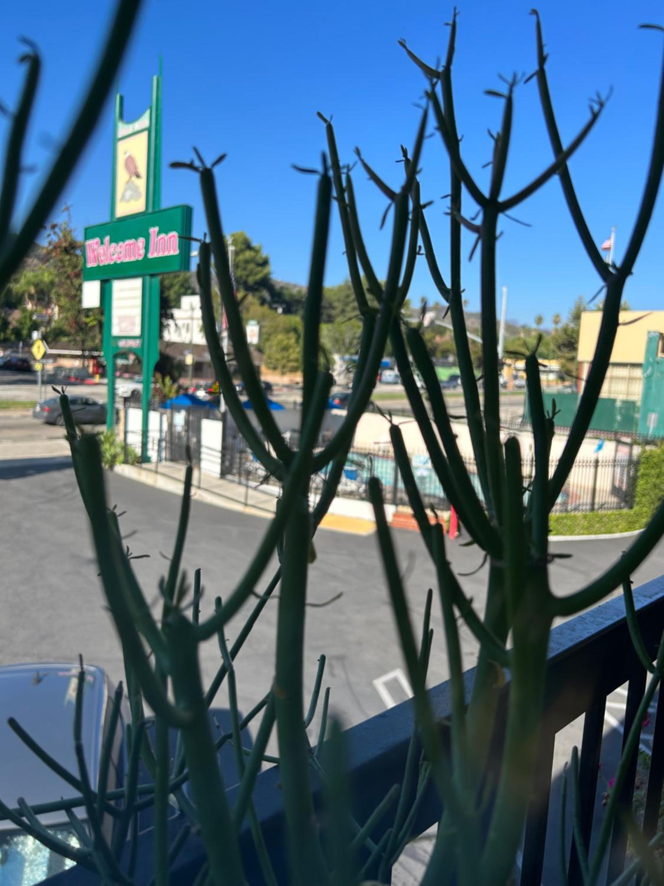 Welcome Inn, Billede 5