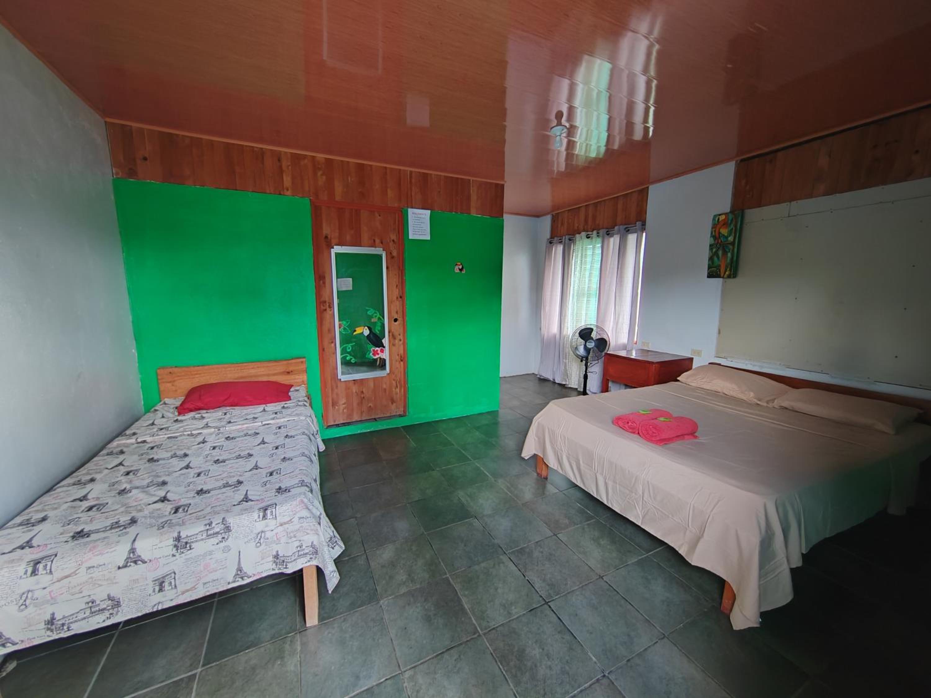 Double or Twin Room photo 1