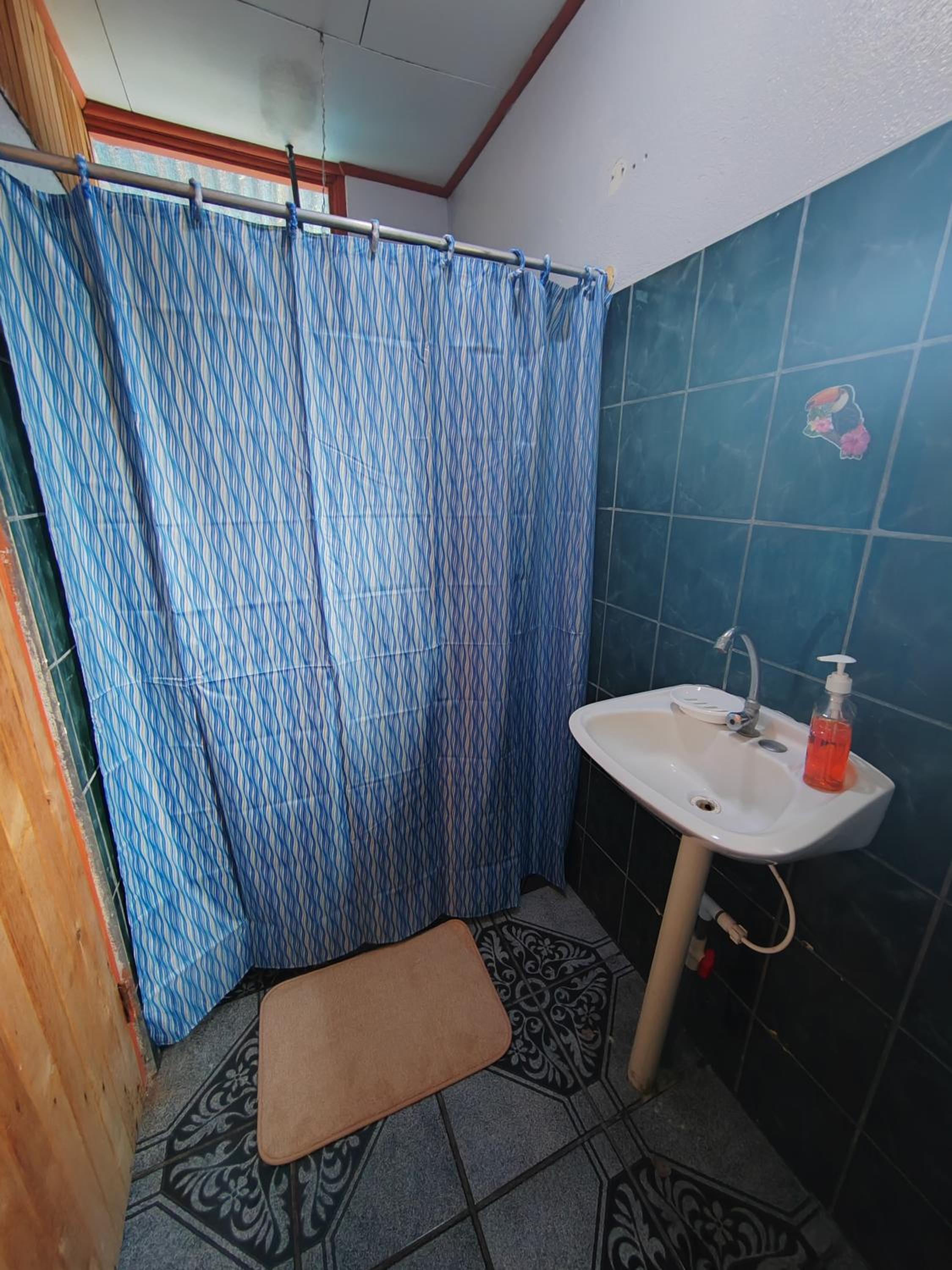 Double or Twin Room photo 2