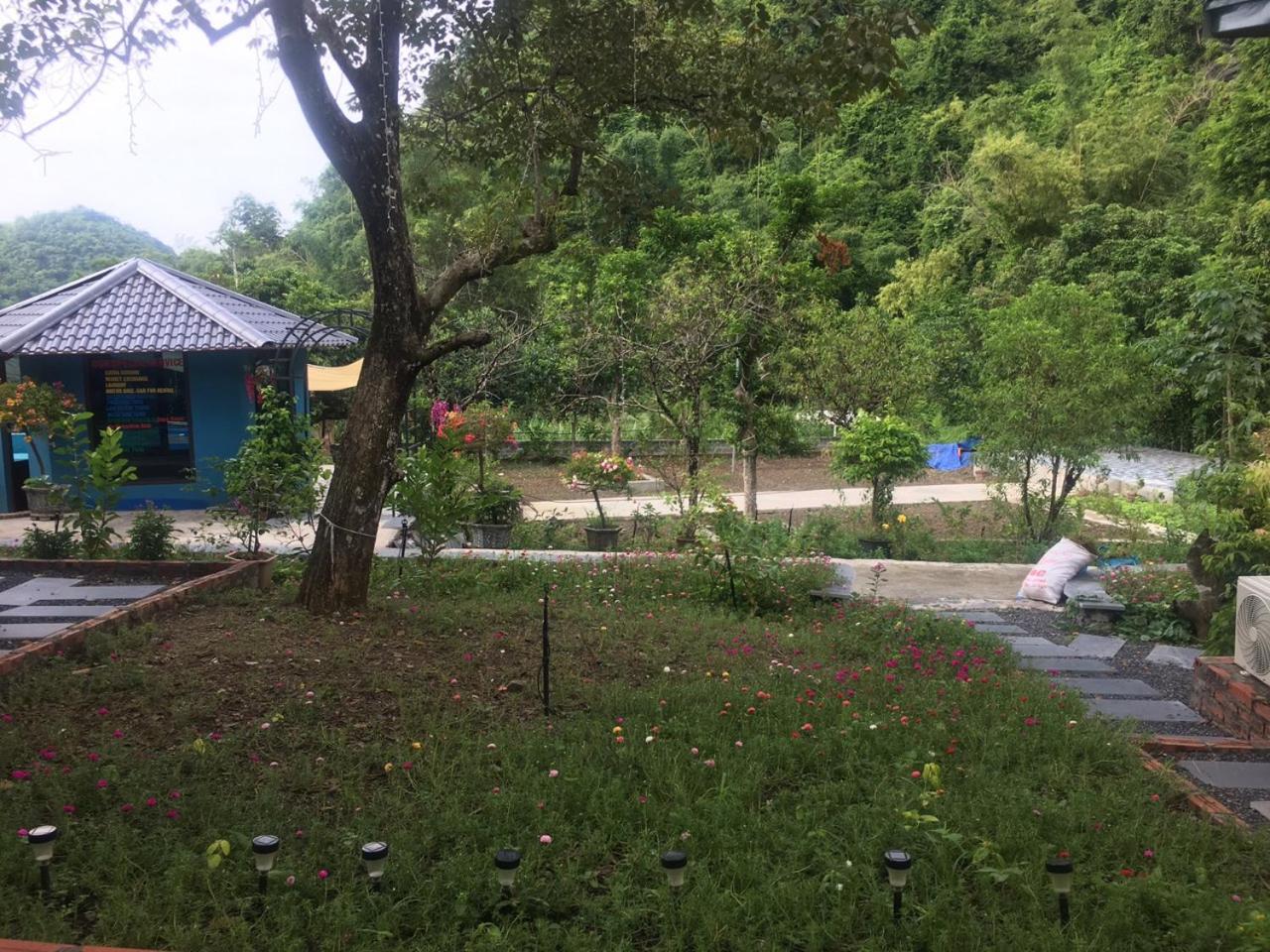 Bungalow Double/Twin with Garden View photo 2