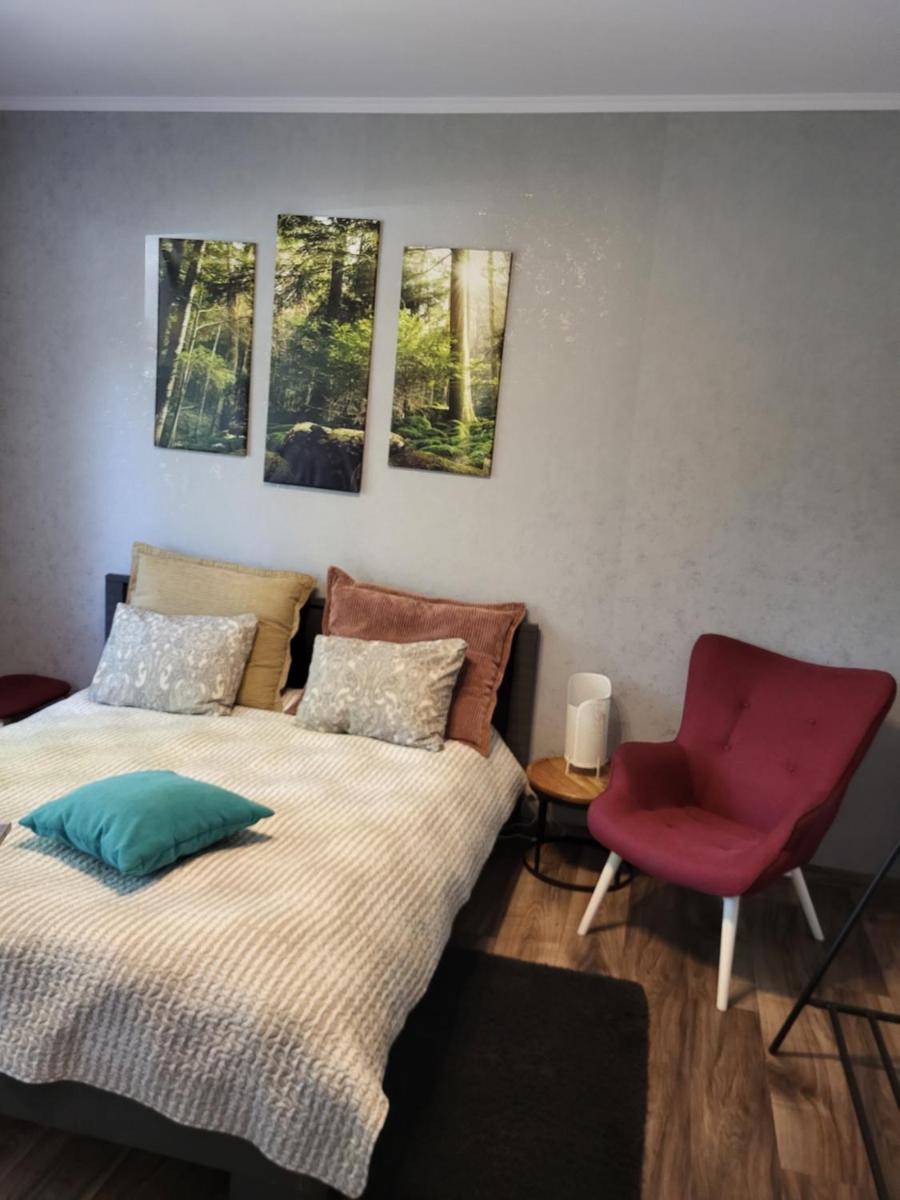 One-Bedroom Apartment - Photo 10