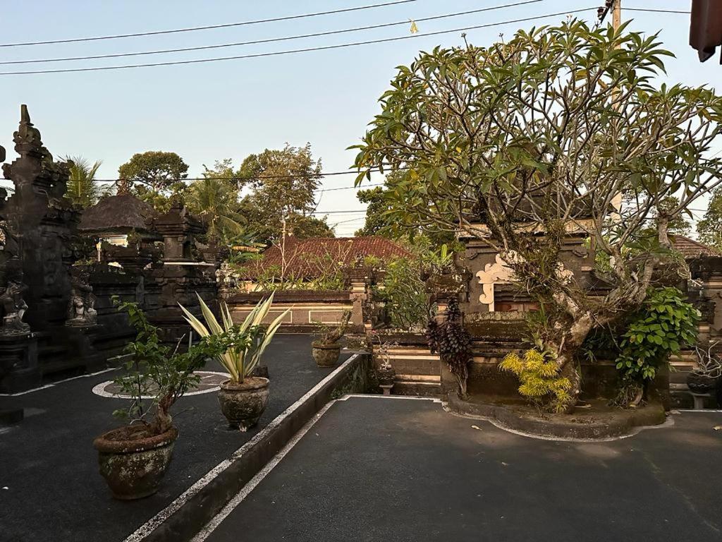 King Room with Garden View photo 2