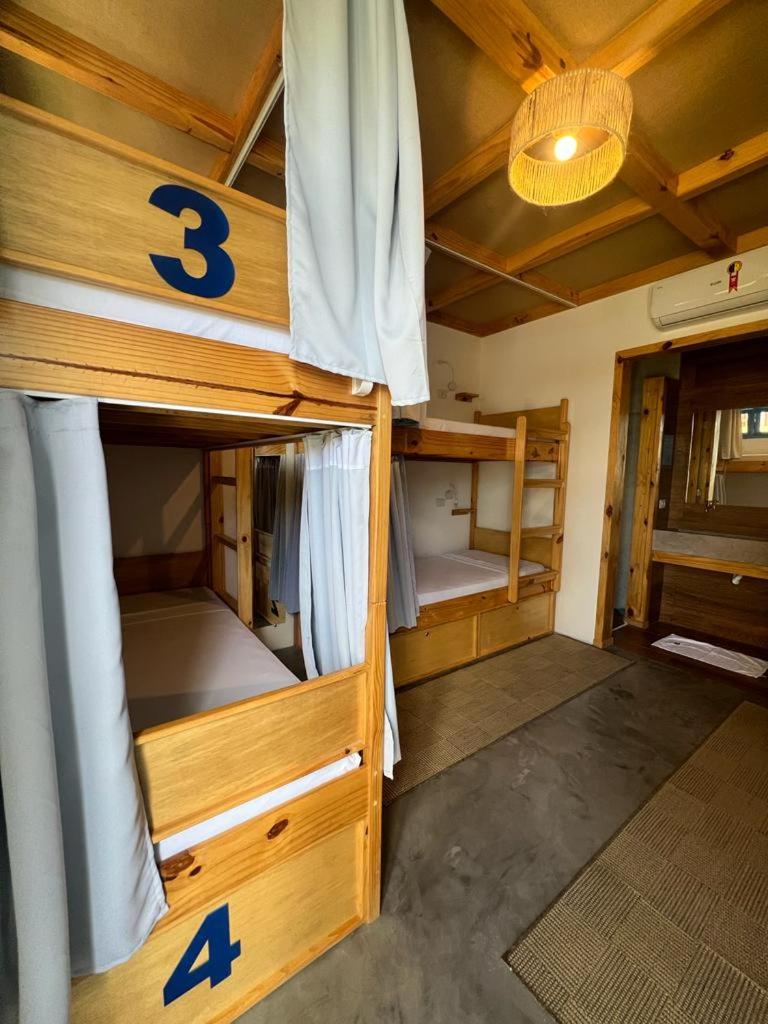 Bunk Bed in Mixed Dormitory Room photo 3