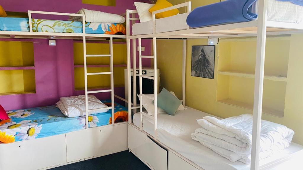 6-Bed Mixed Dormitory Room photo 2