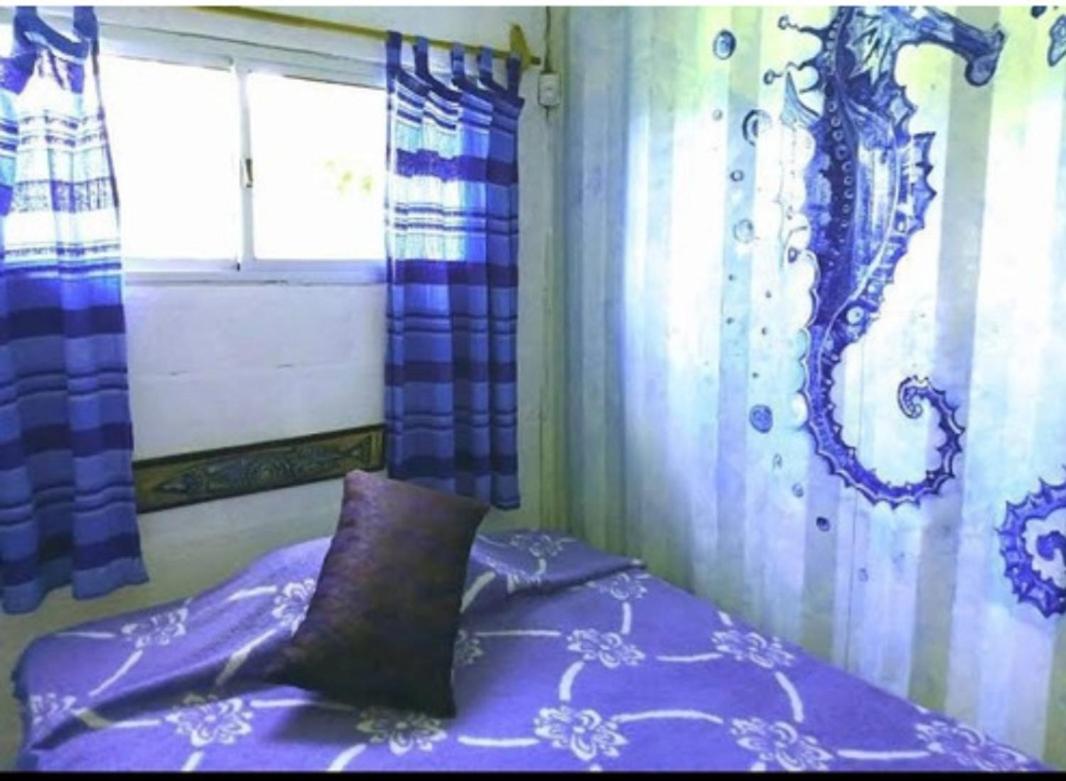One-Bedroom House photo 1