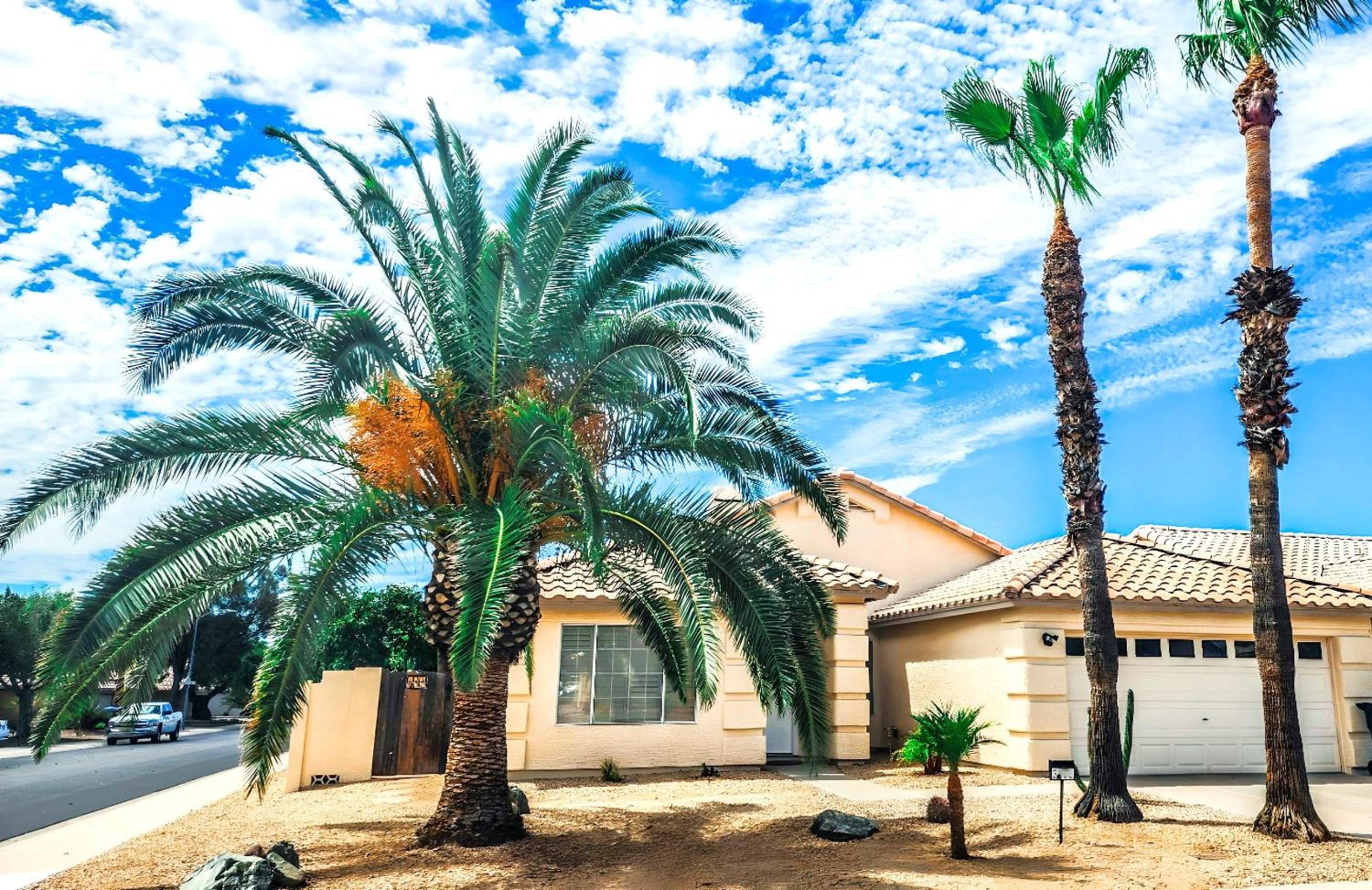 Three-Bedroom House photo 2