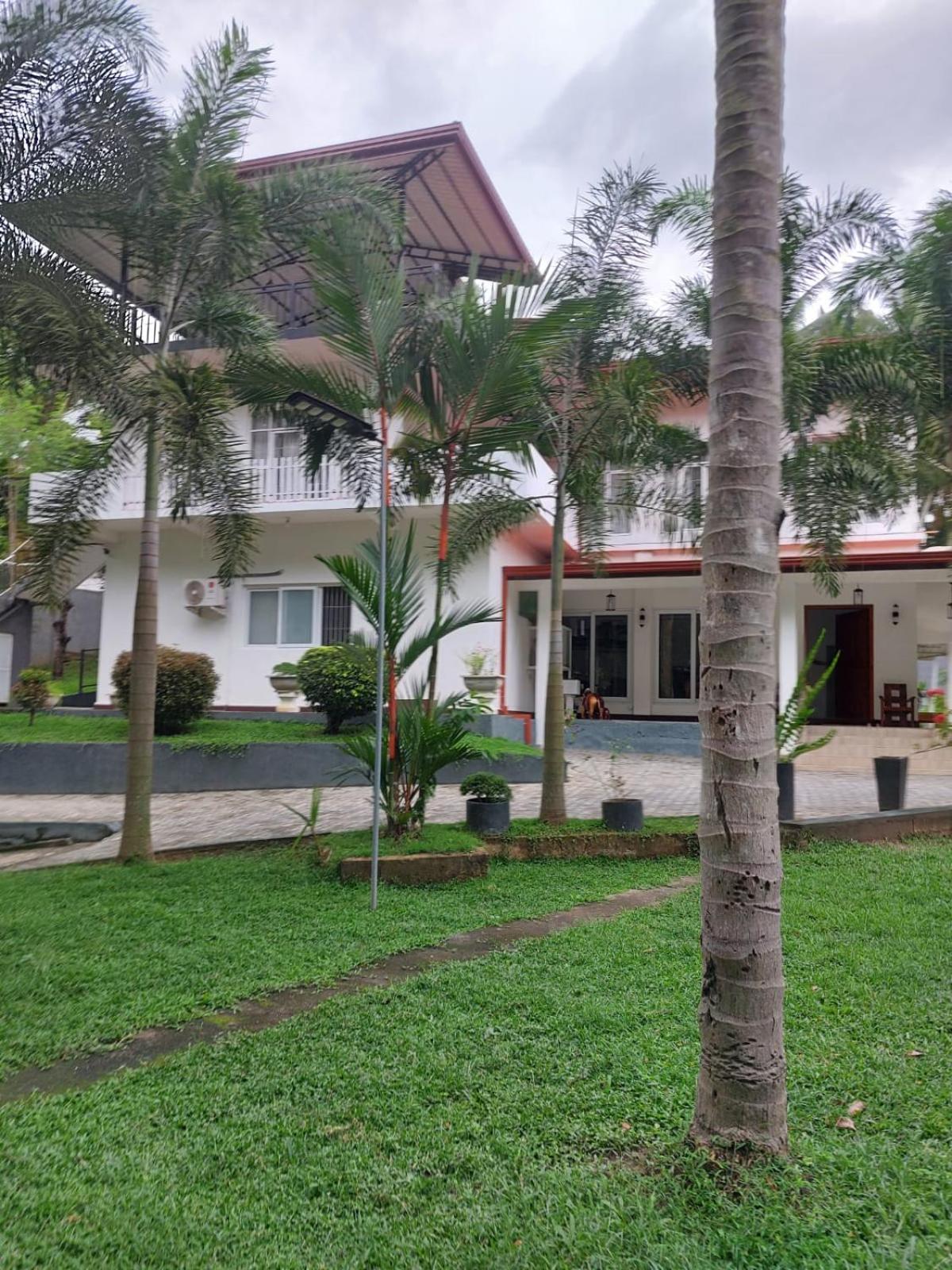 Three-Bedroom House photo 2