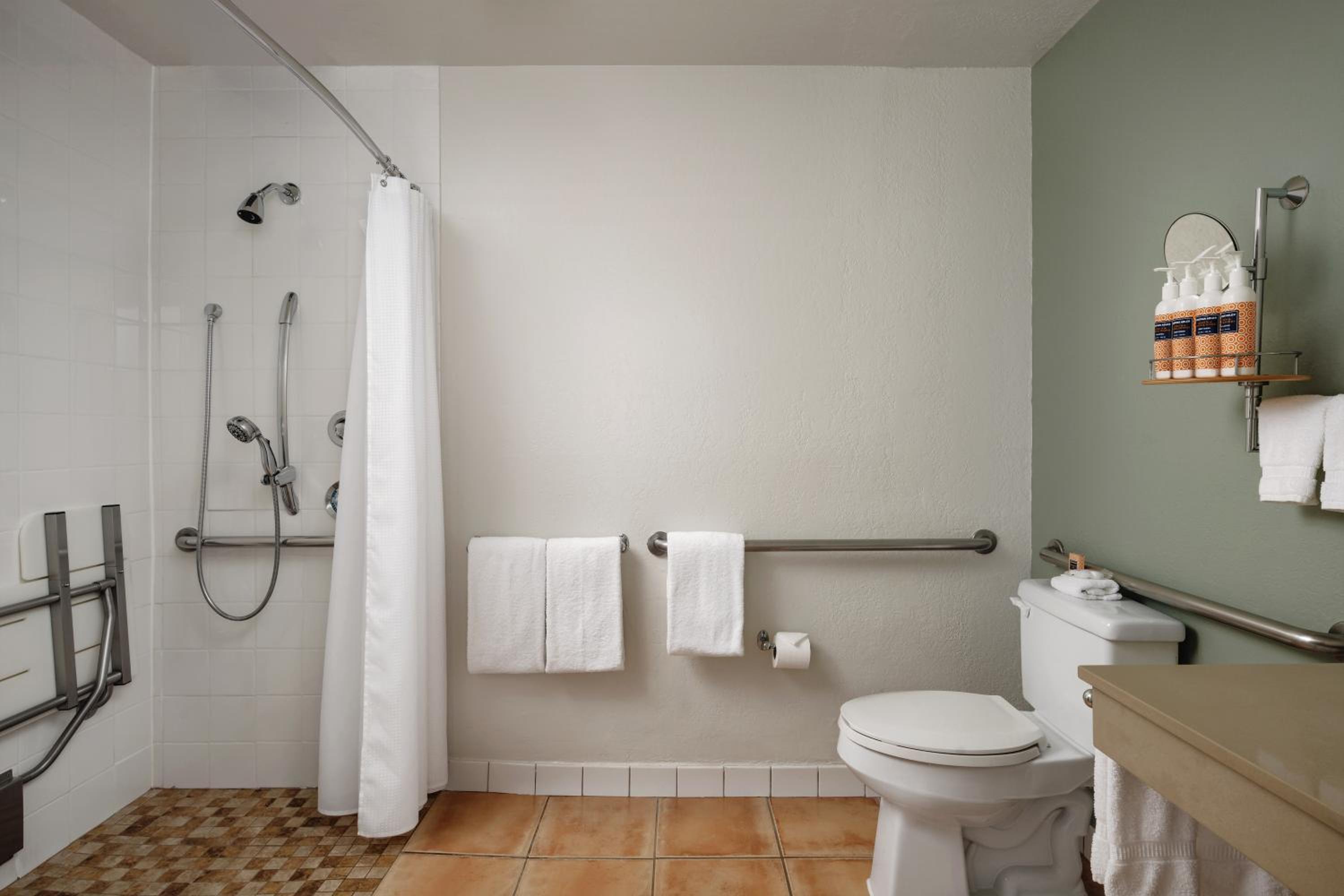 King Room with Accessible Shower - Photo 3