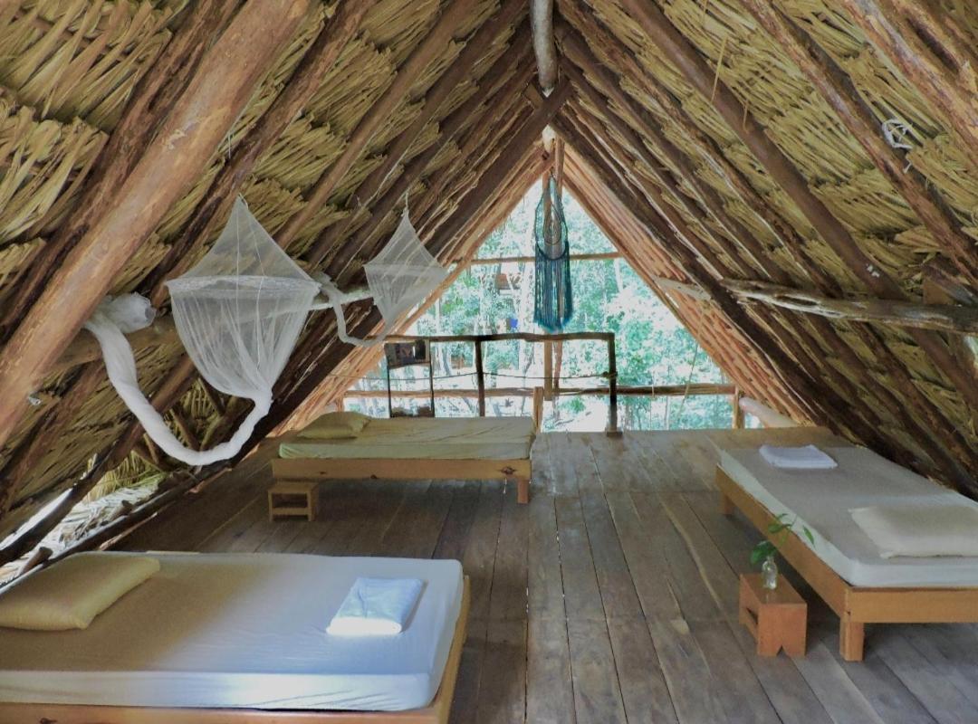 Mixed Dormitory Room photo 1