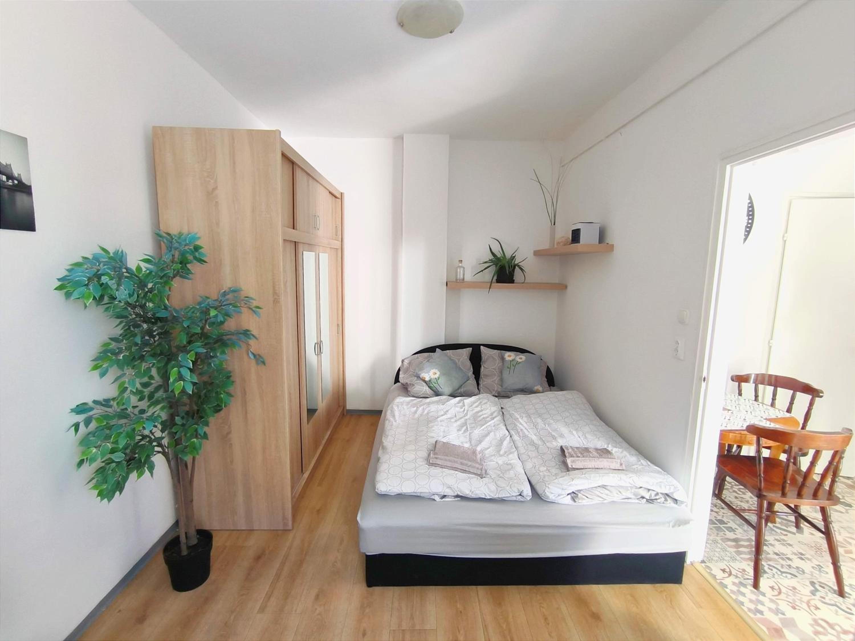 Deluxe Apartment - Photo 6