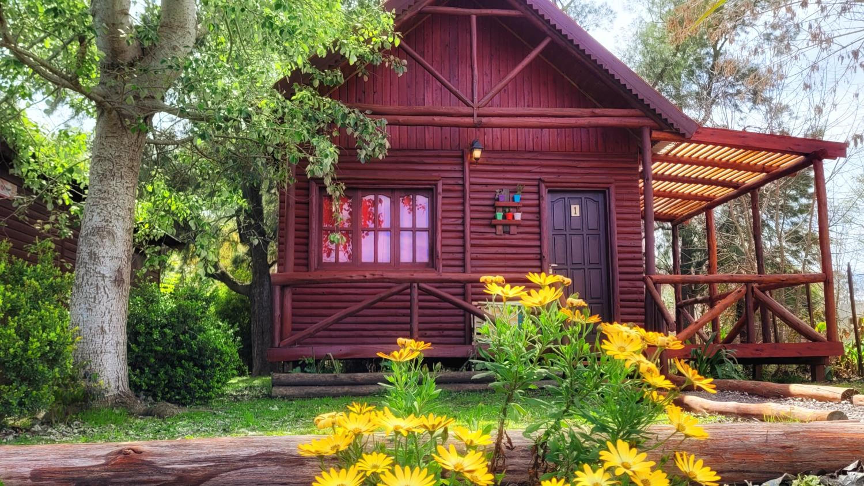 Superior Bungalow photo 2