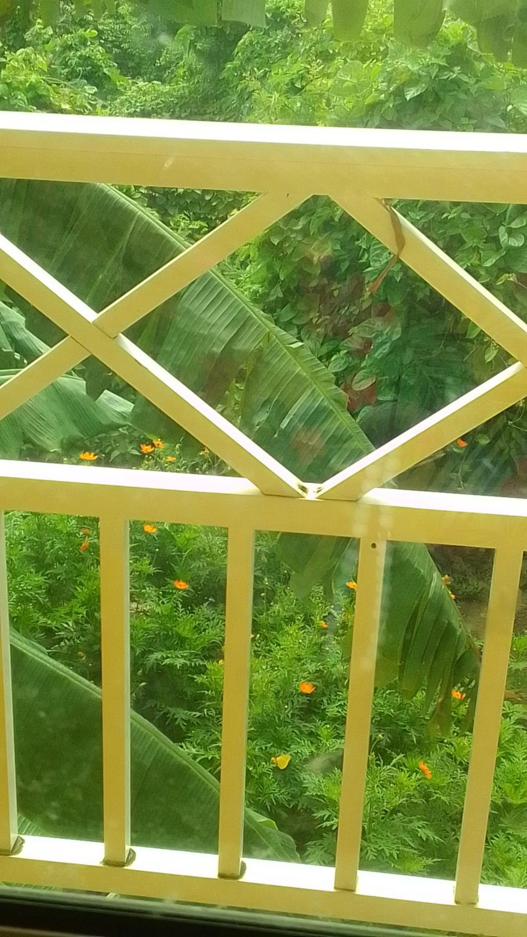 Double Room with Balcony photo 2