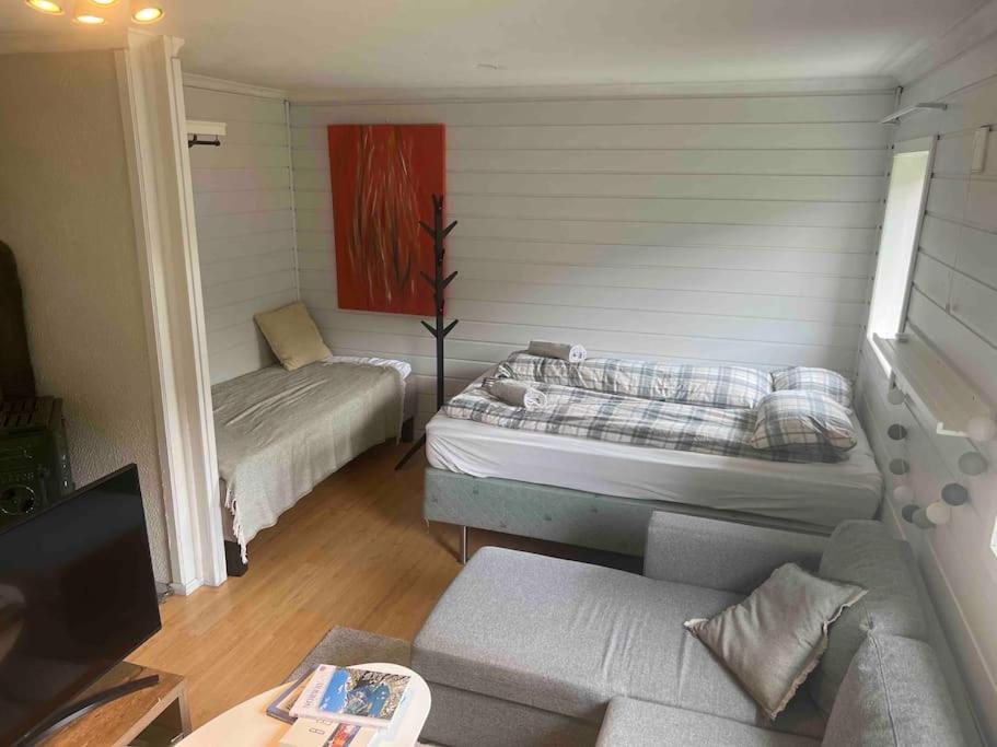 One-Bedroom Apartment photo 1