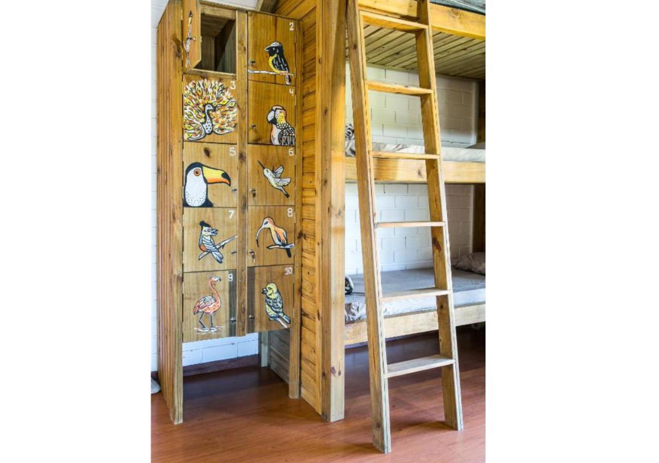 Bunk Bed in Mixed Dormitory Room photo 2
