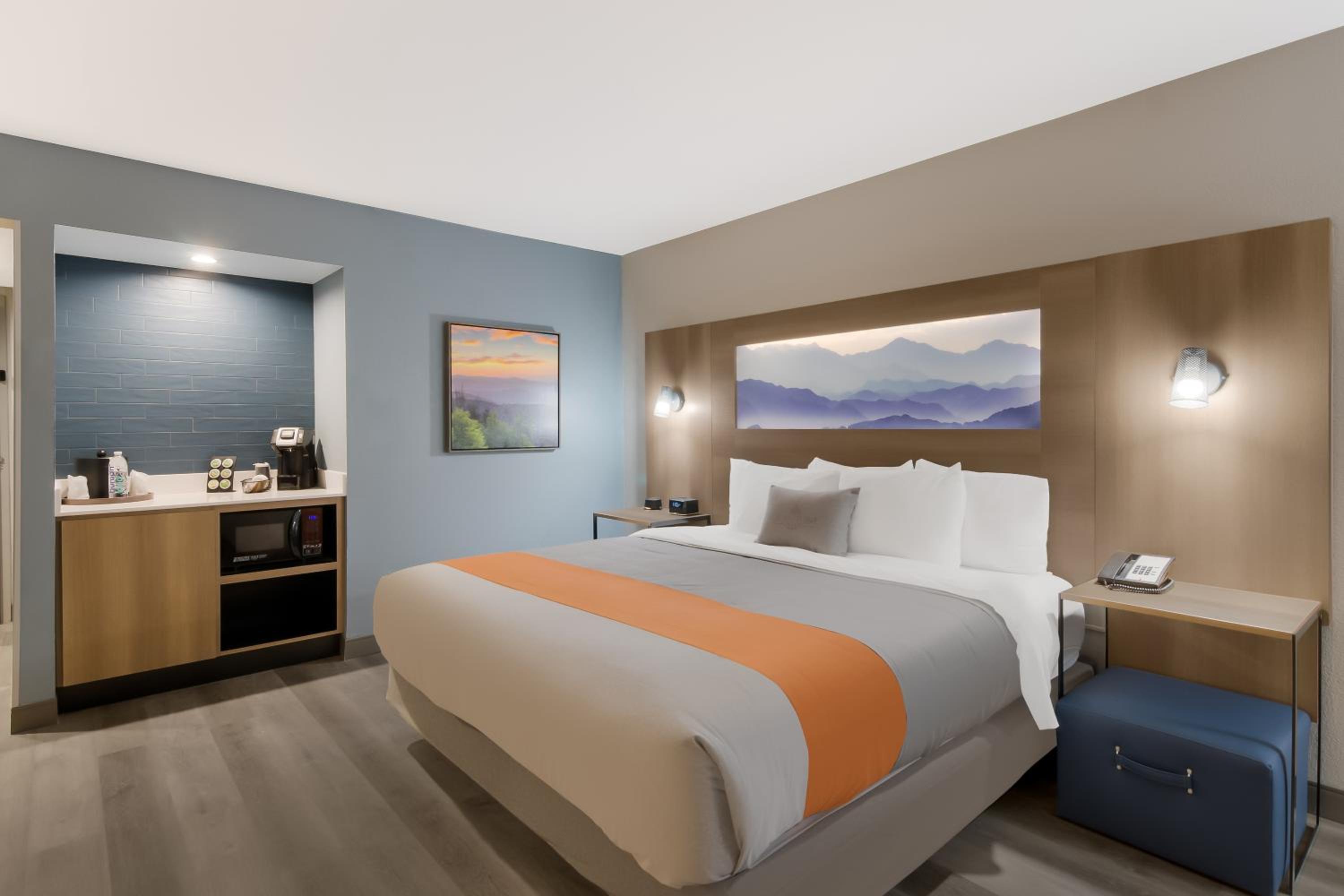 Deluxe King Suite photo 1