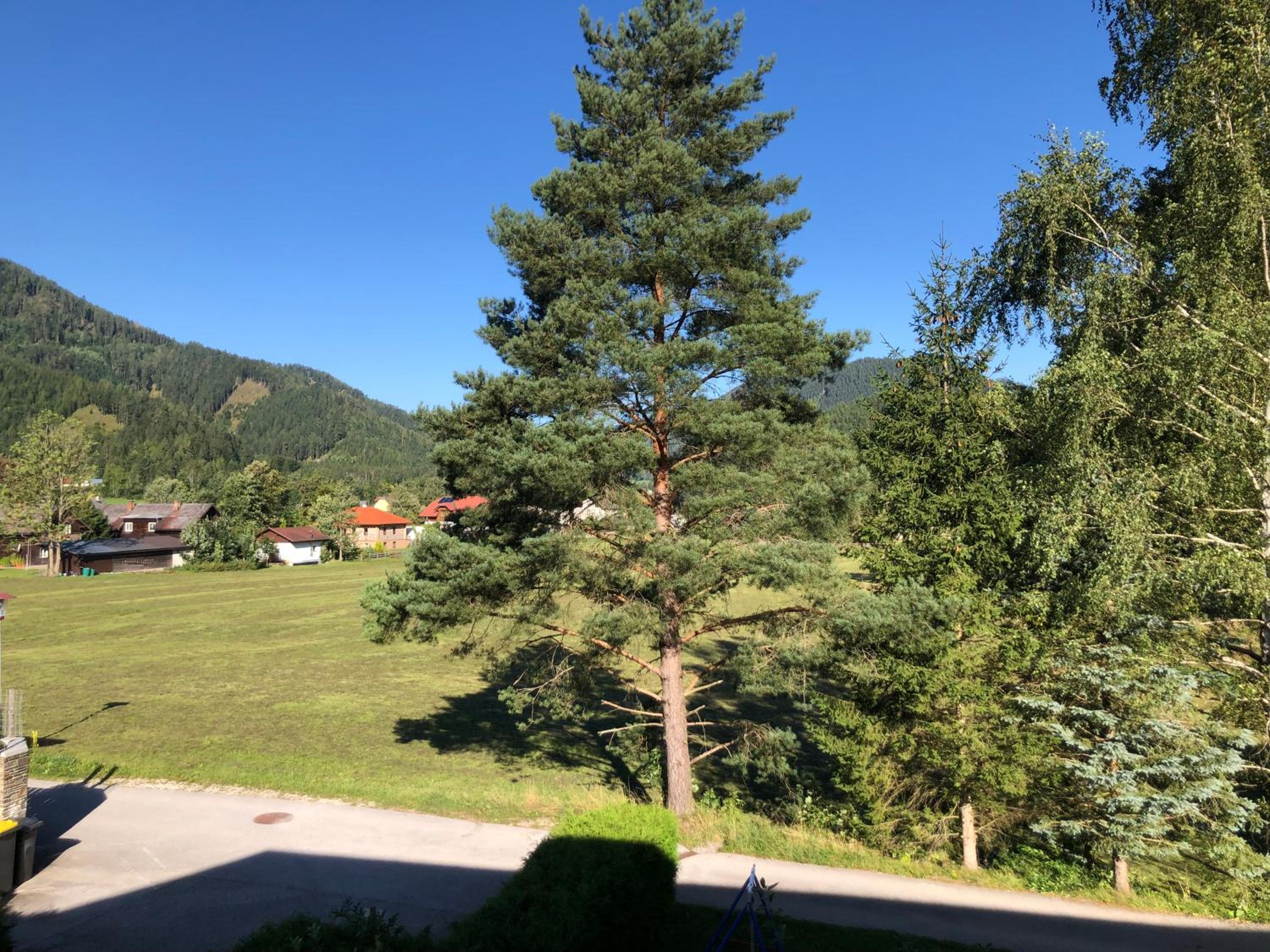 Double Room with Garden View photo 2