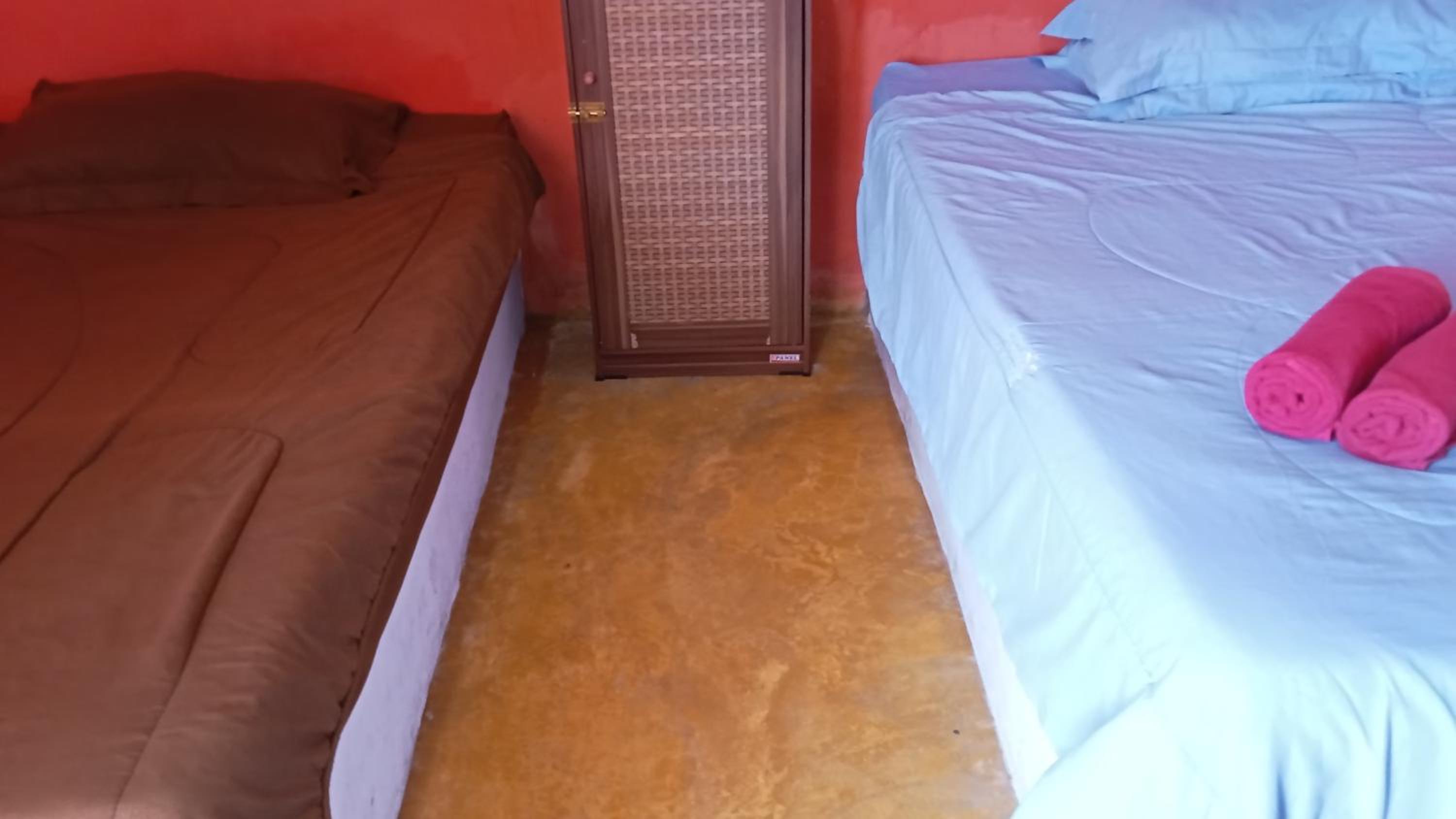 Deluxe Twin Room photo 1
