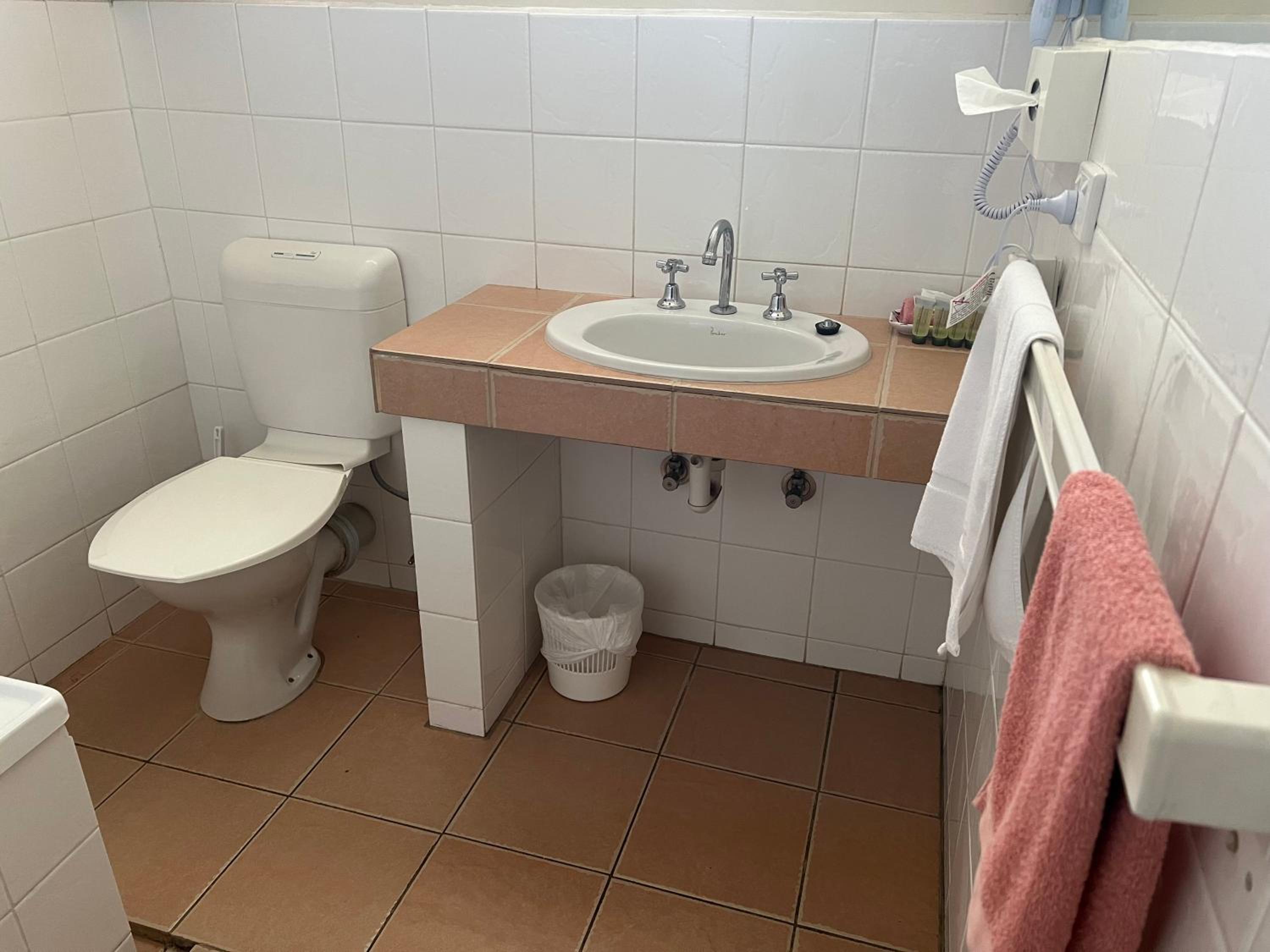 Deluxe Double or Twin Room photo 2