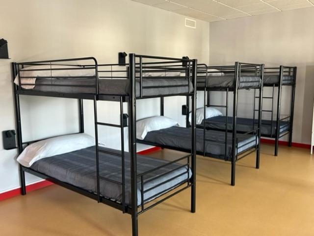 Habitación Compartida Mixta de 10 Camas