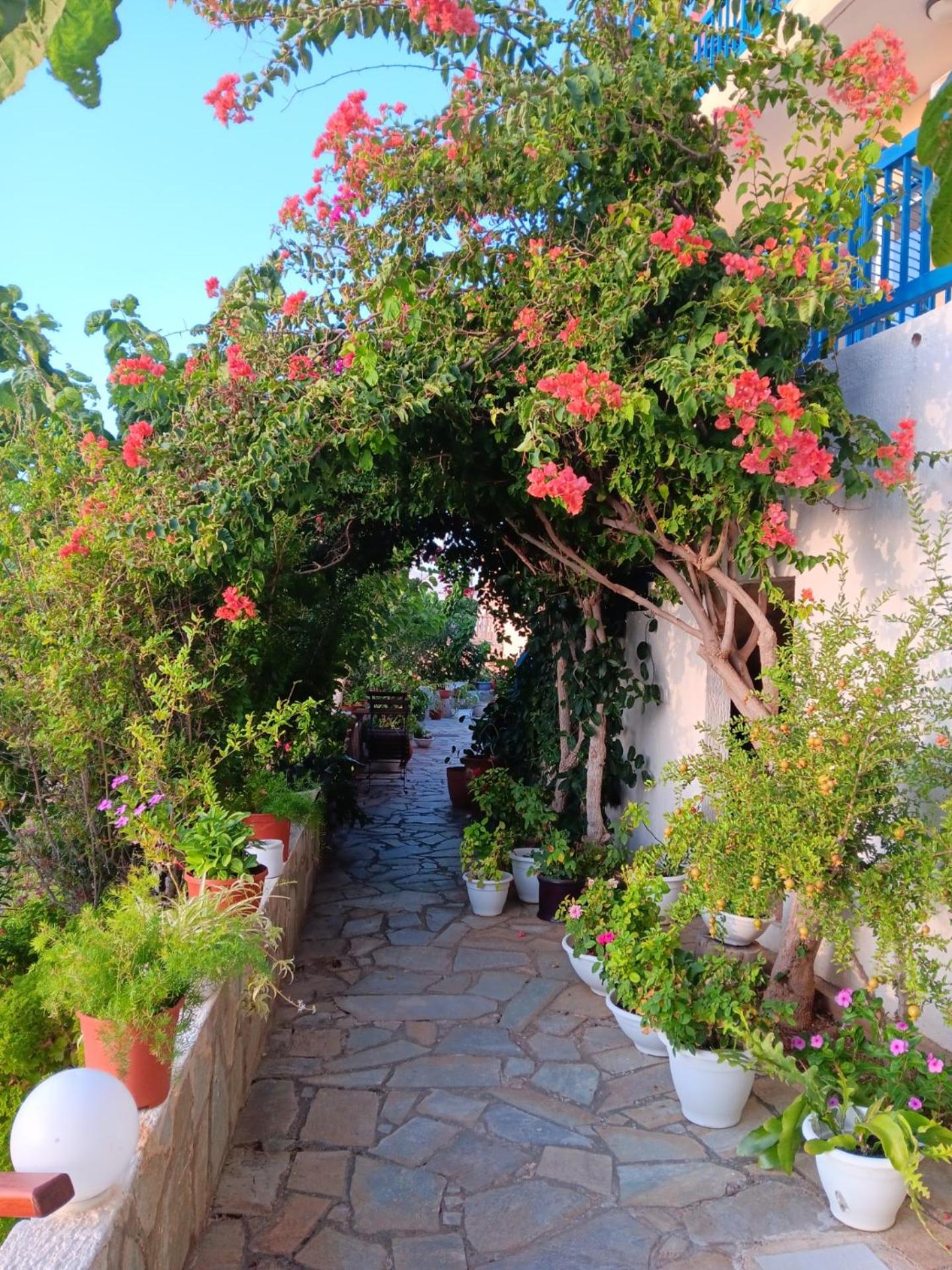 One-Bedroom Apartment with Sea and Garden View photo 2
