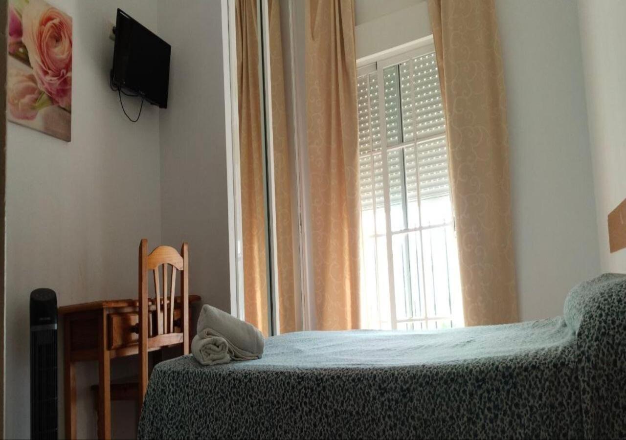 Single Room photo 3
