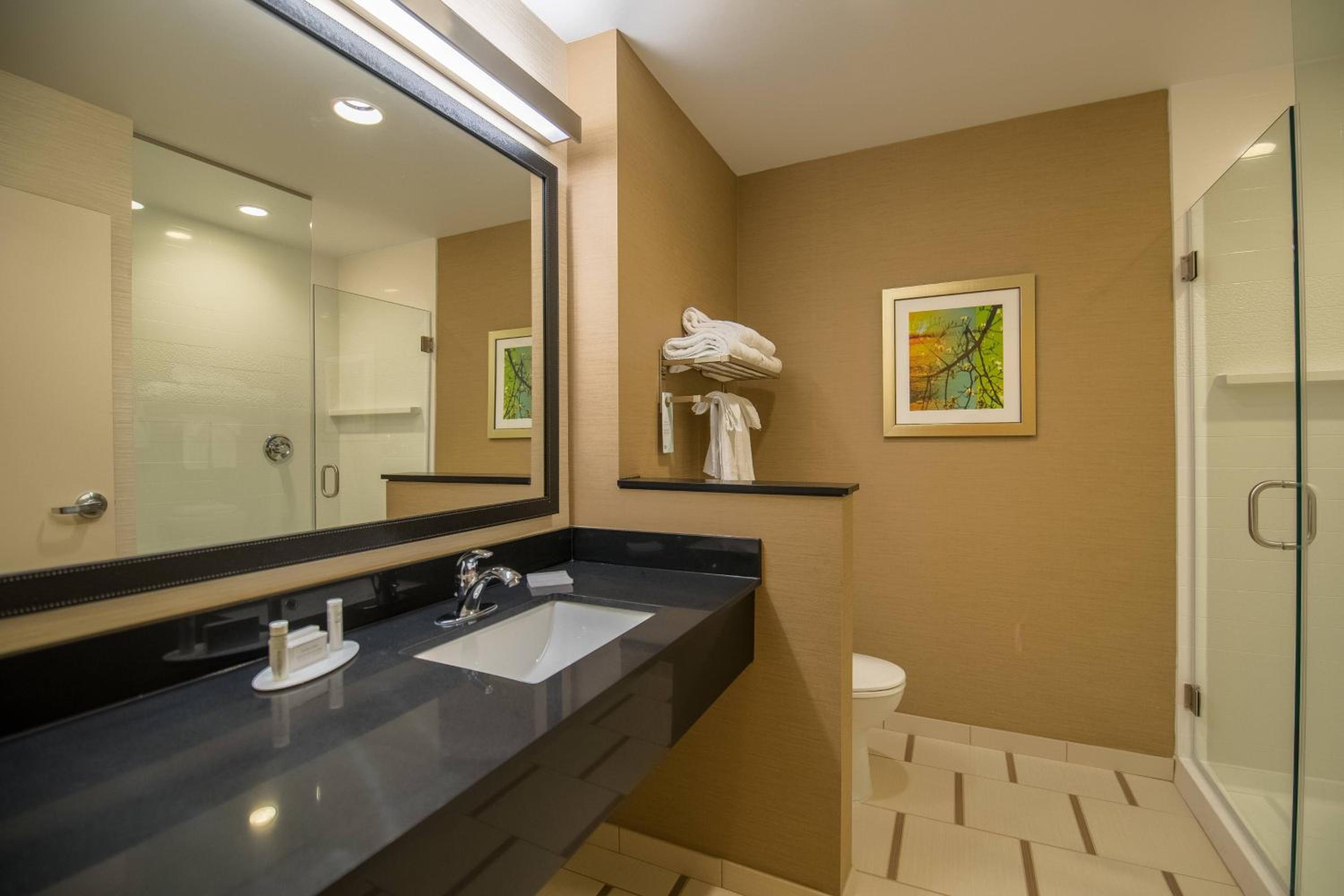 King Suite with Sofa Bed - Hearing Accessible