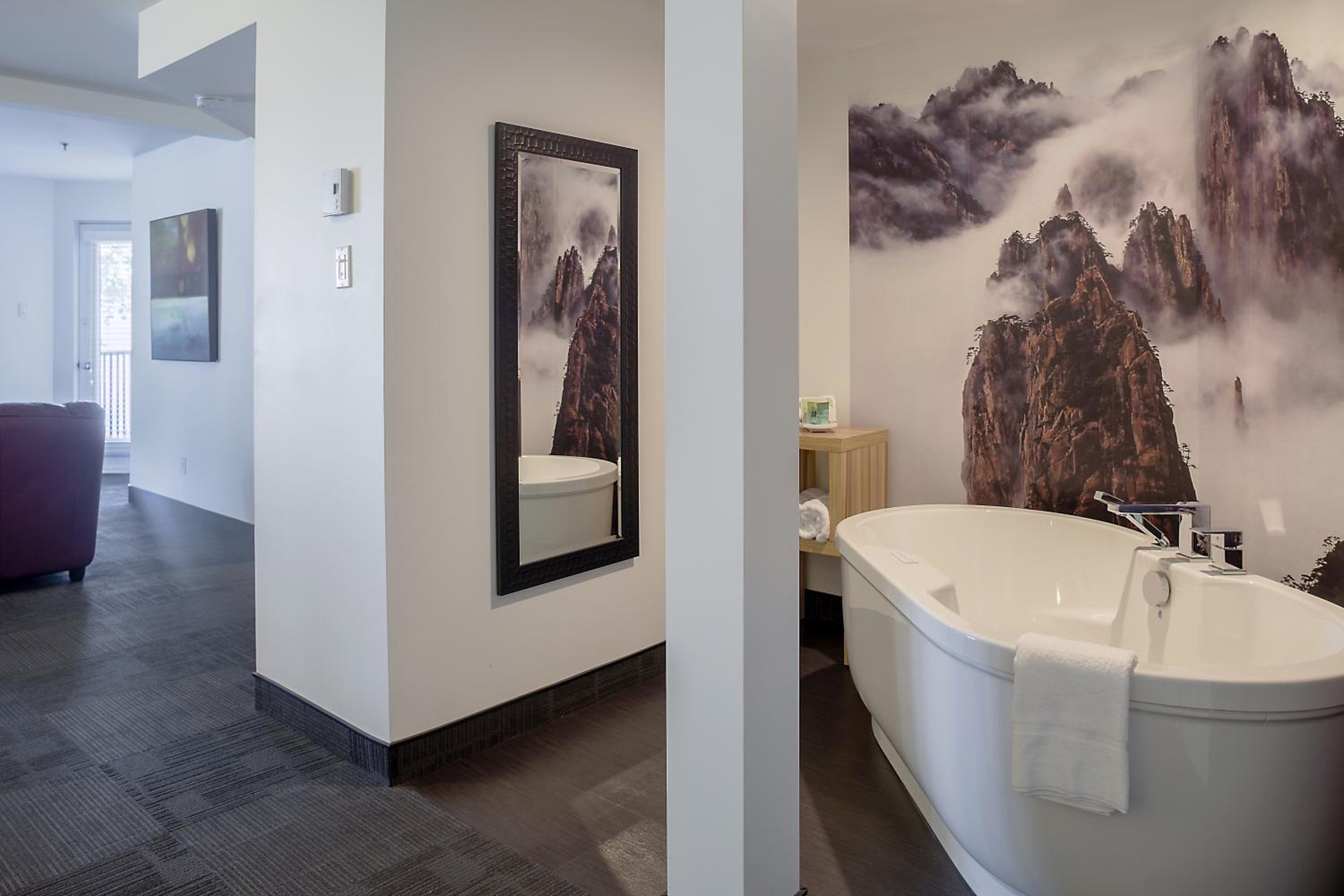 Deluxe King Suite with Spa Bath photo 2