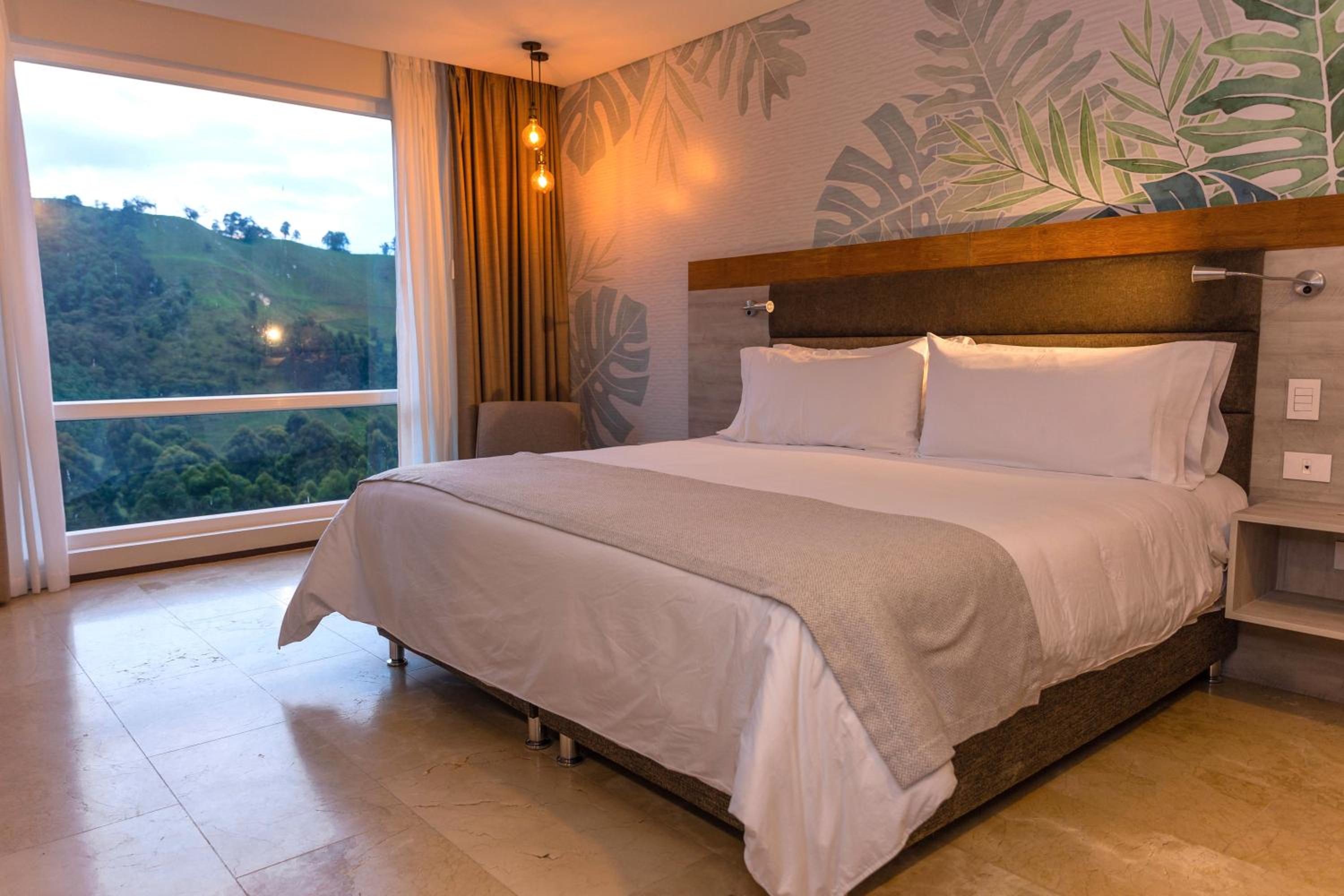 Superior Queen Room