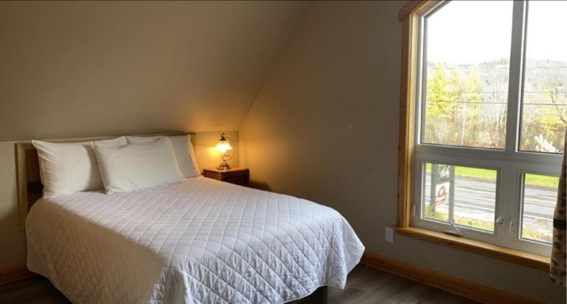 Deluxe Queen Room photo 3