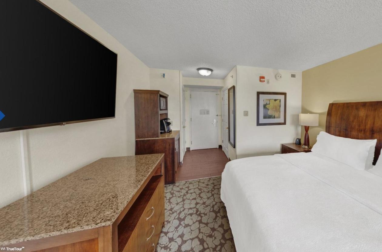 One-Bedroom King Suite with Sofa Bed - Photo 5