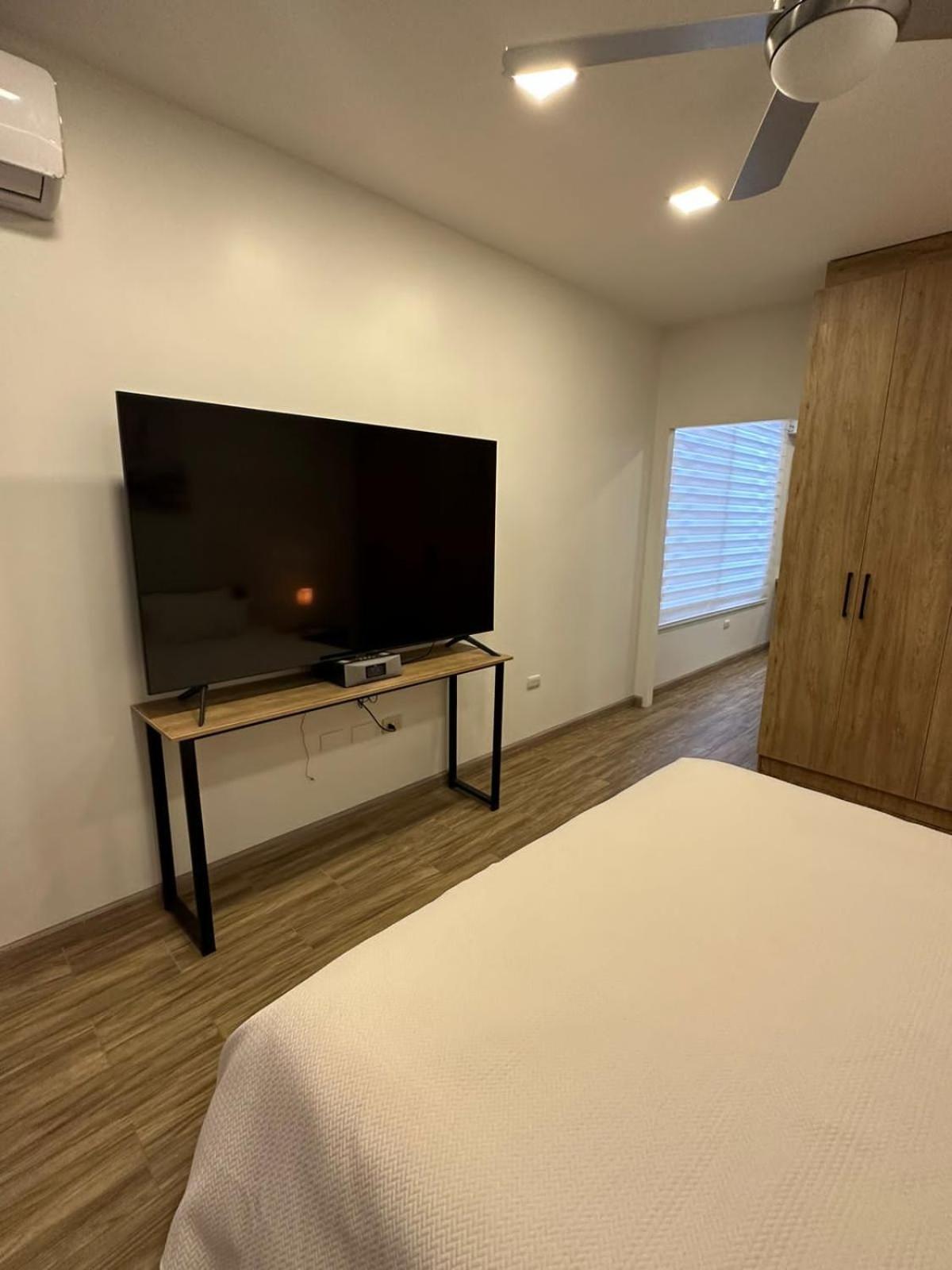One-Bedroom Apartment photo 3
