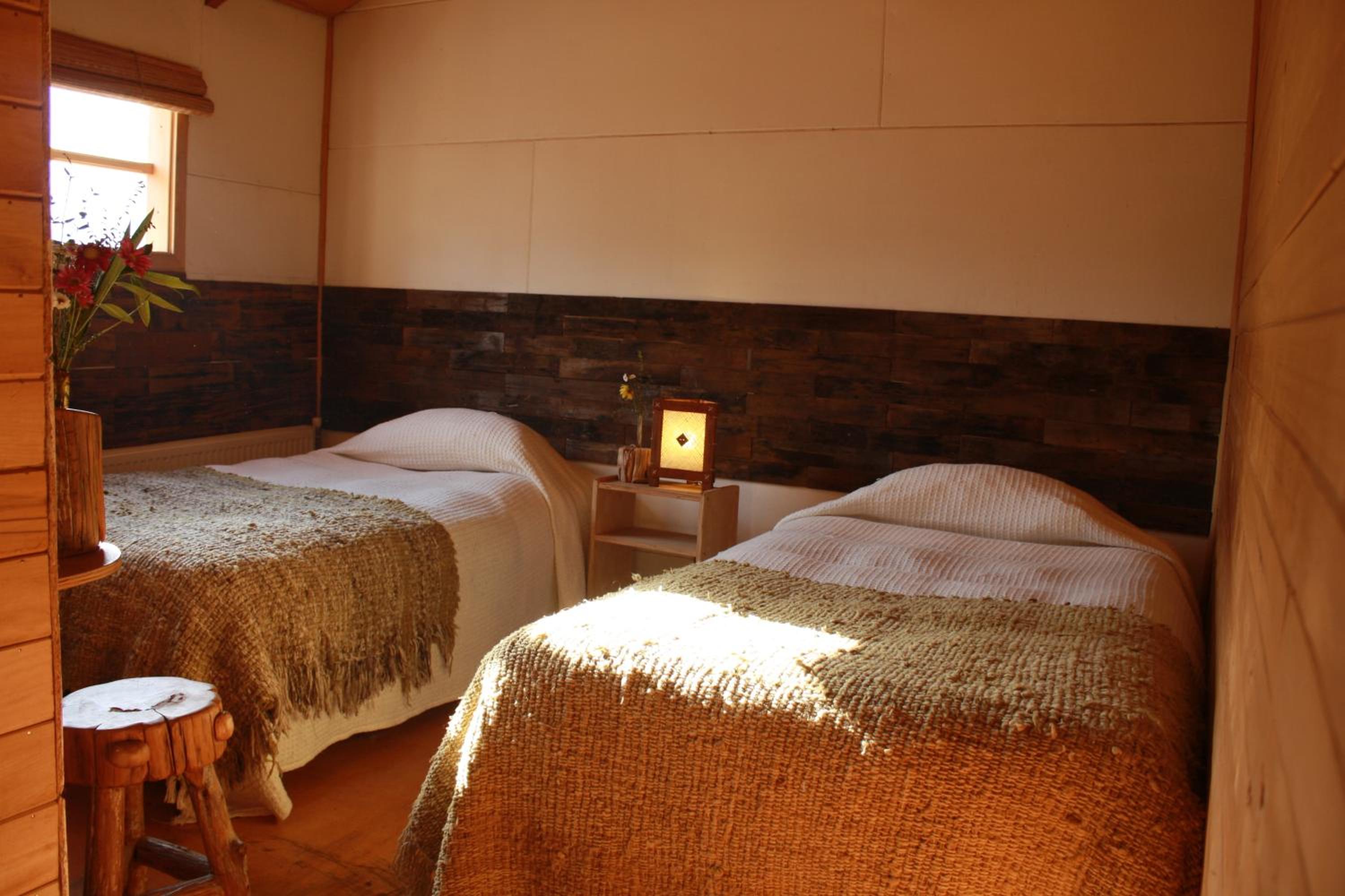 Standard Twin Room photo 1