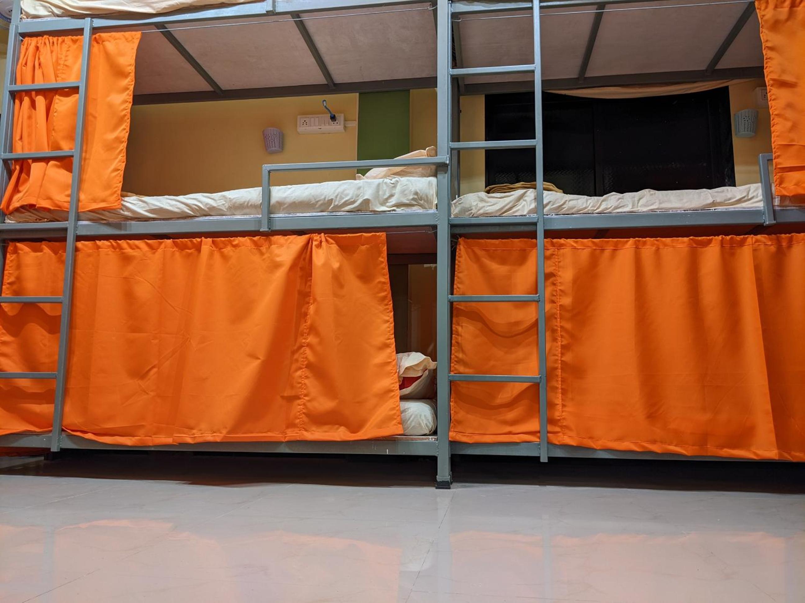 Bunk Bed in Mixed Dormitory Room photo 3