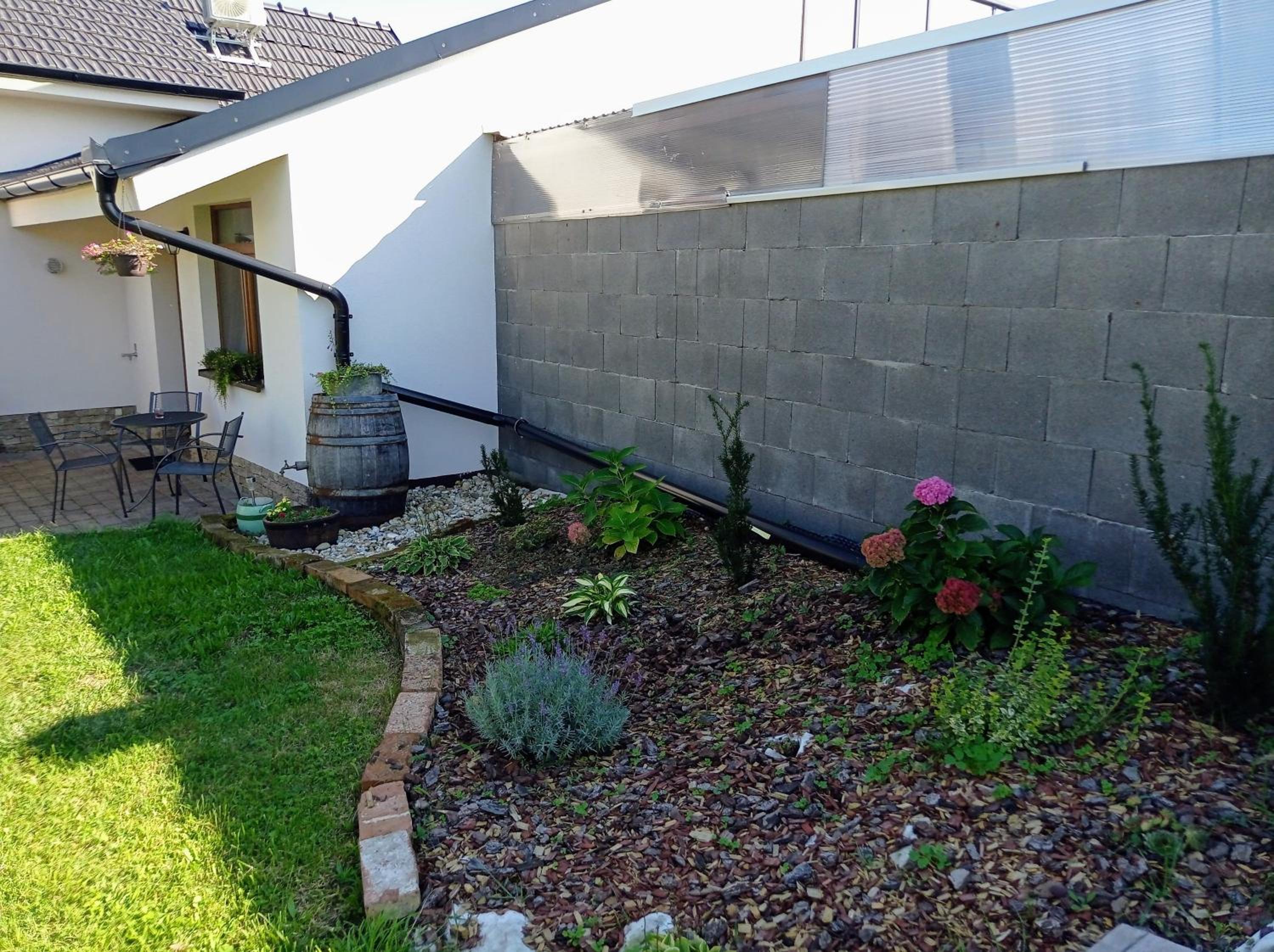 Studio Apartment - Photo 2