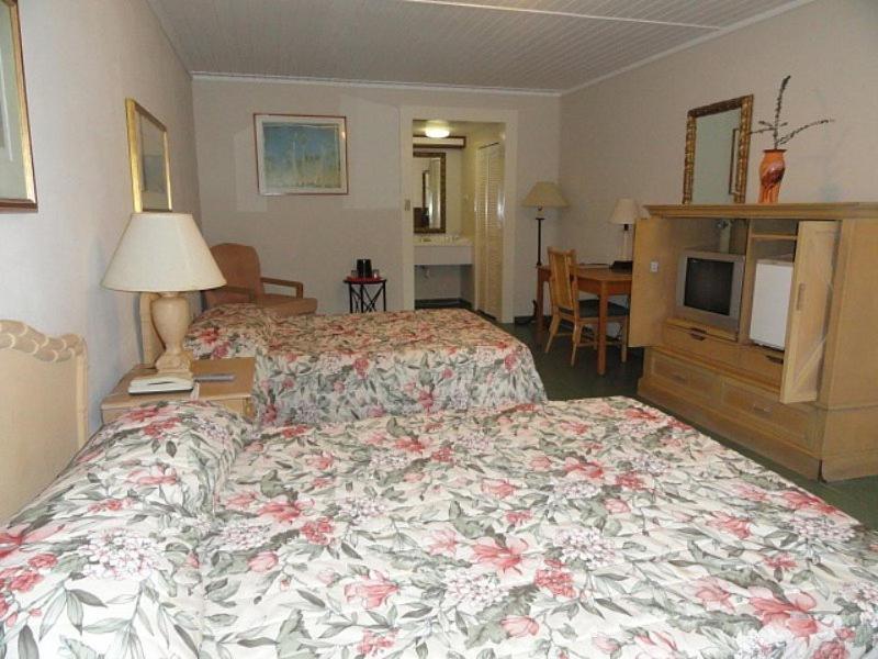 Large Double Room