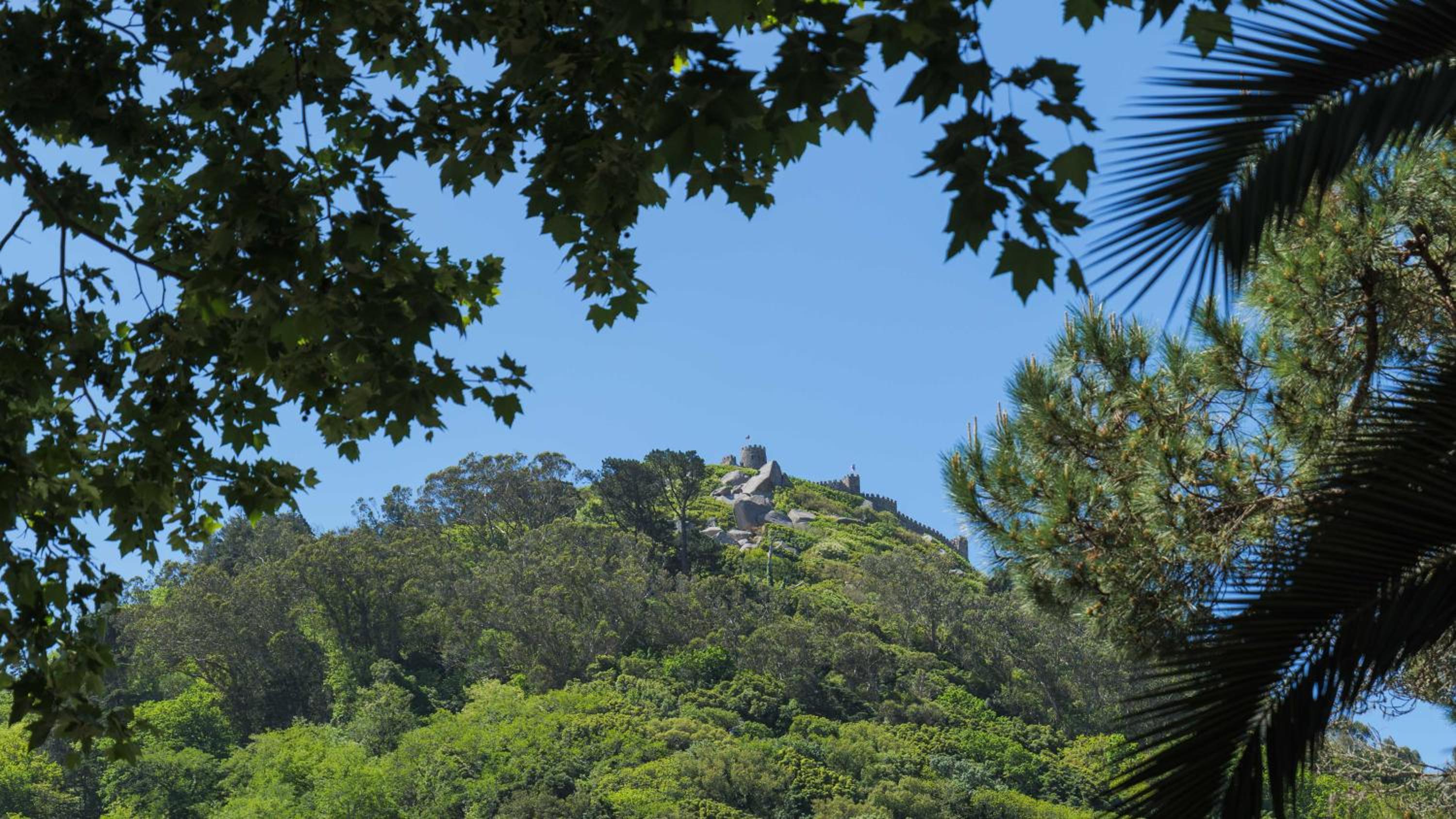 Villa - Photo 16