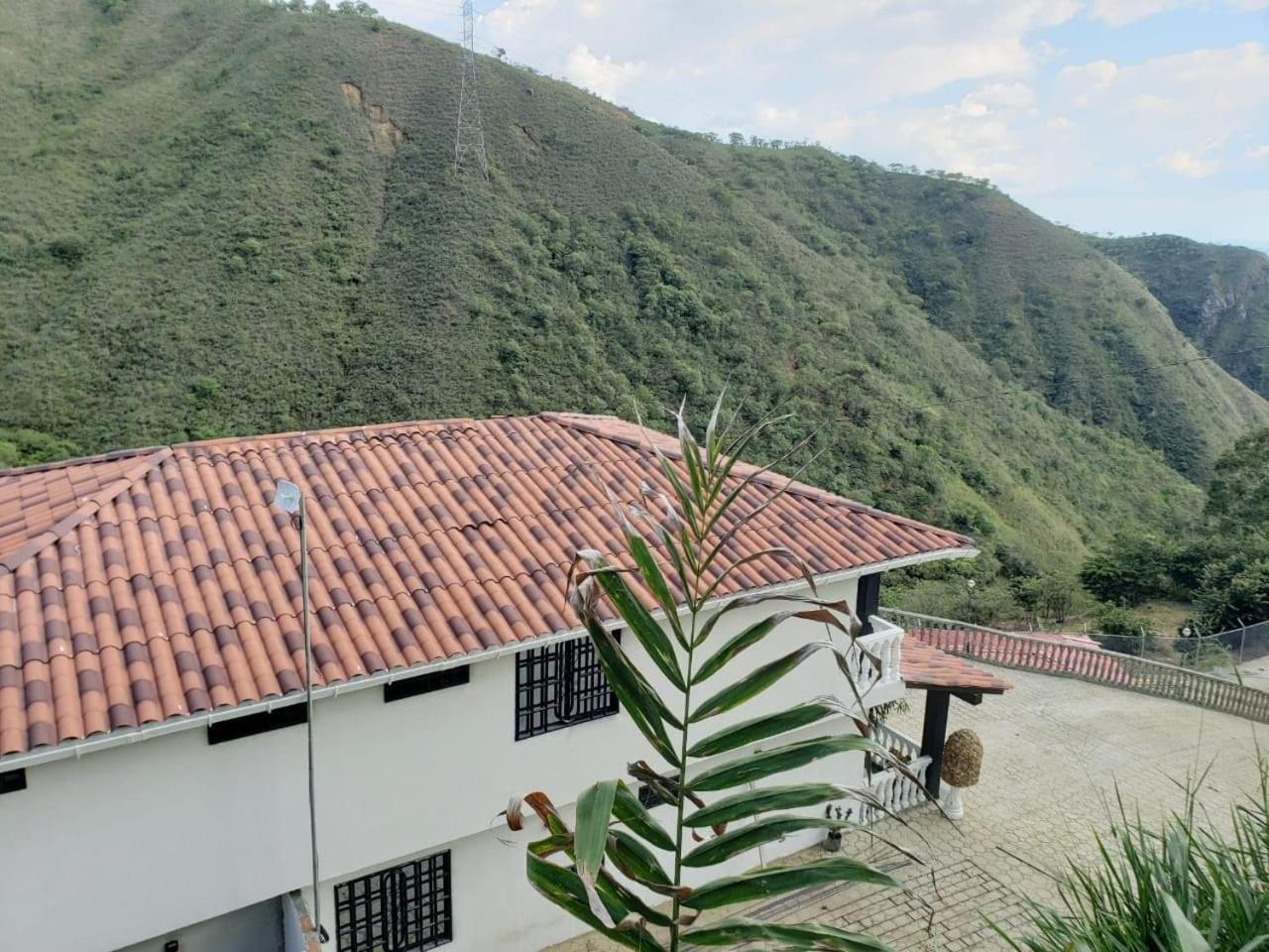 Seven-Bedroom House photo 3