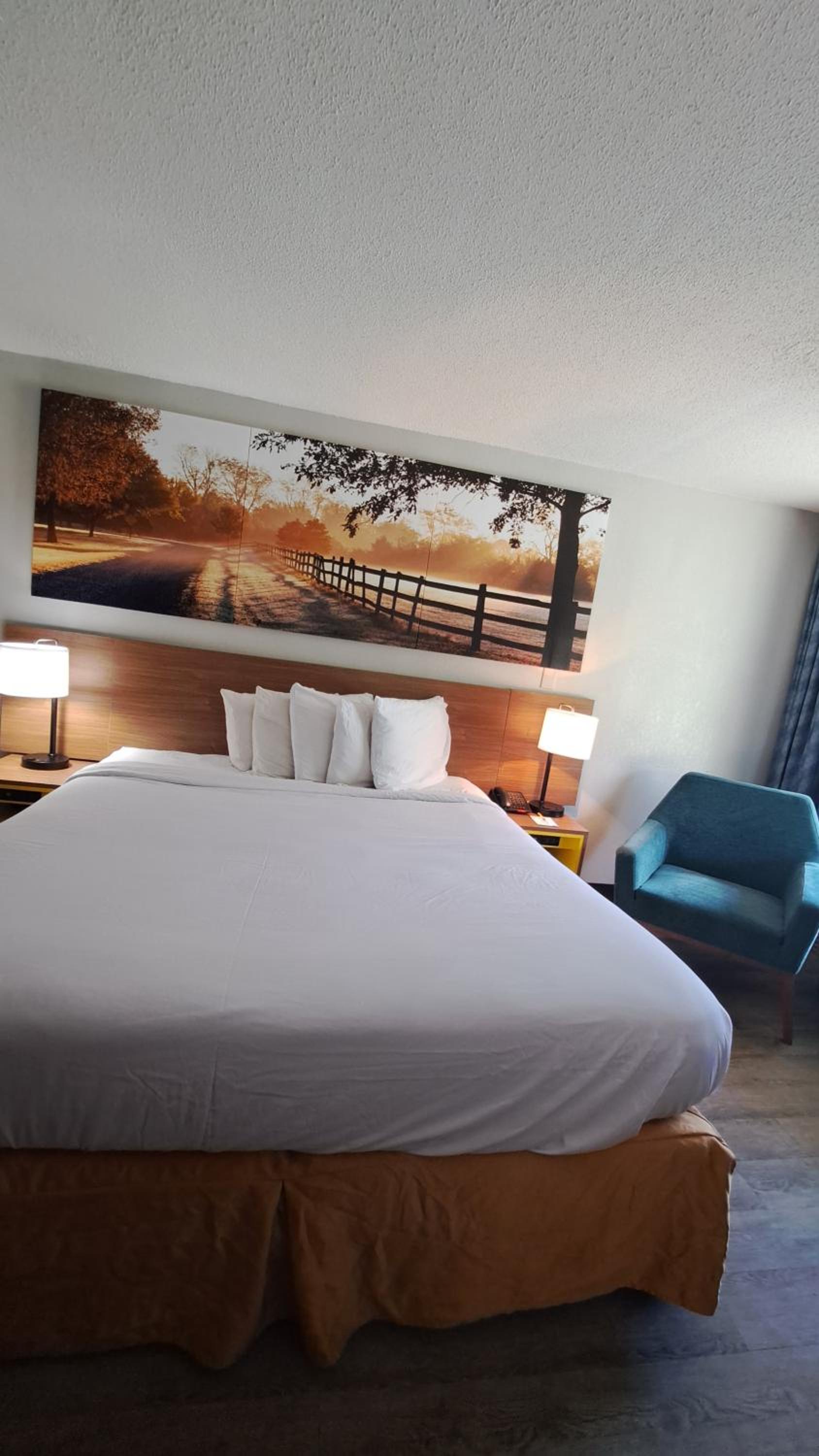 King Room - Non-Smoking - Photo 6