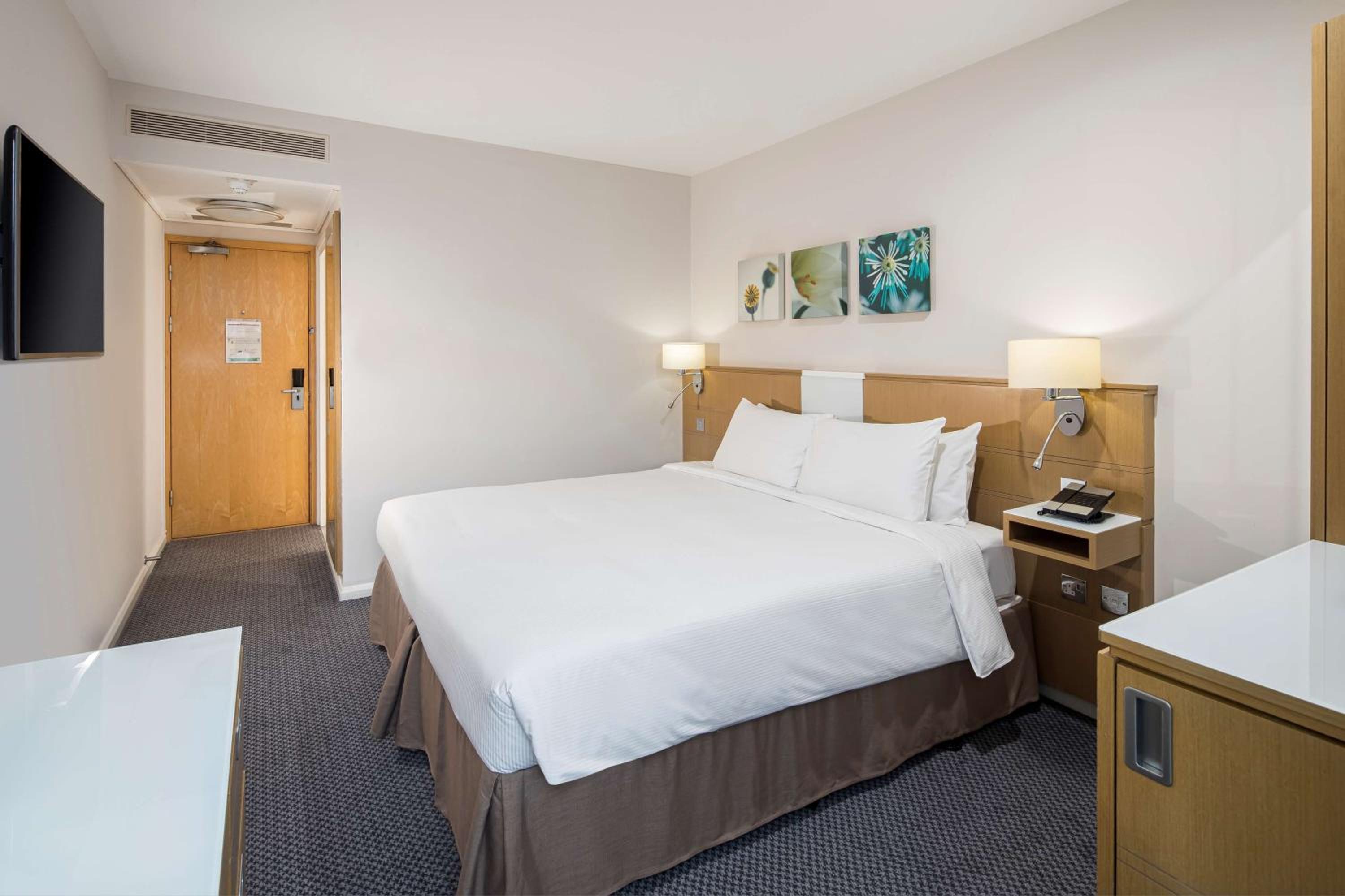 King Room photo 1