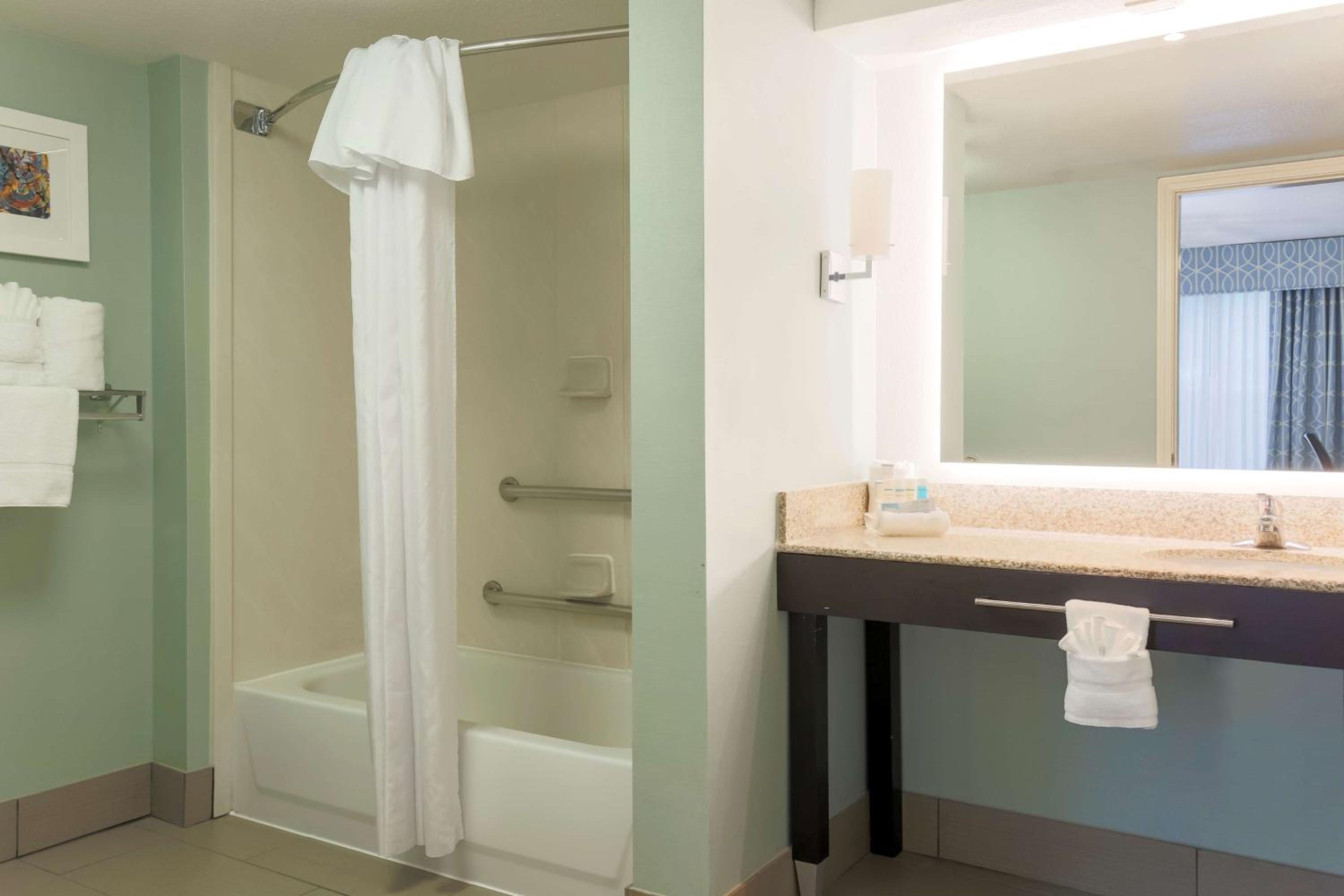 King Suite with Tub - Mobility Accessible - Photo 6