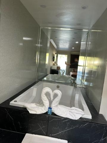 King Suite with Spa Bath photo 2
