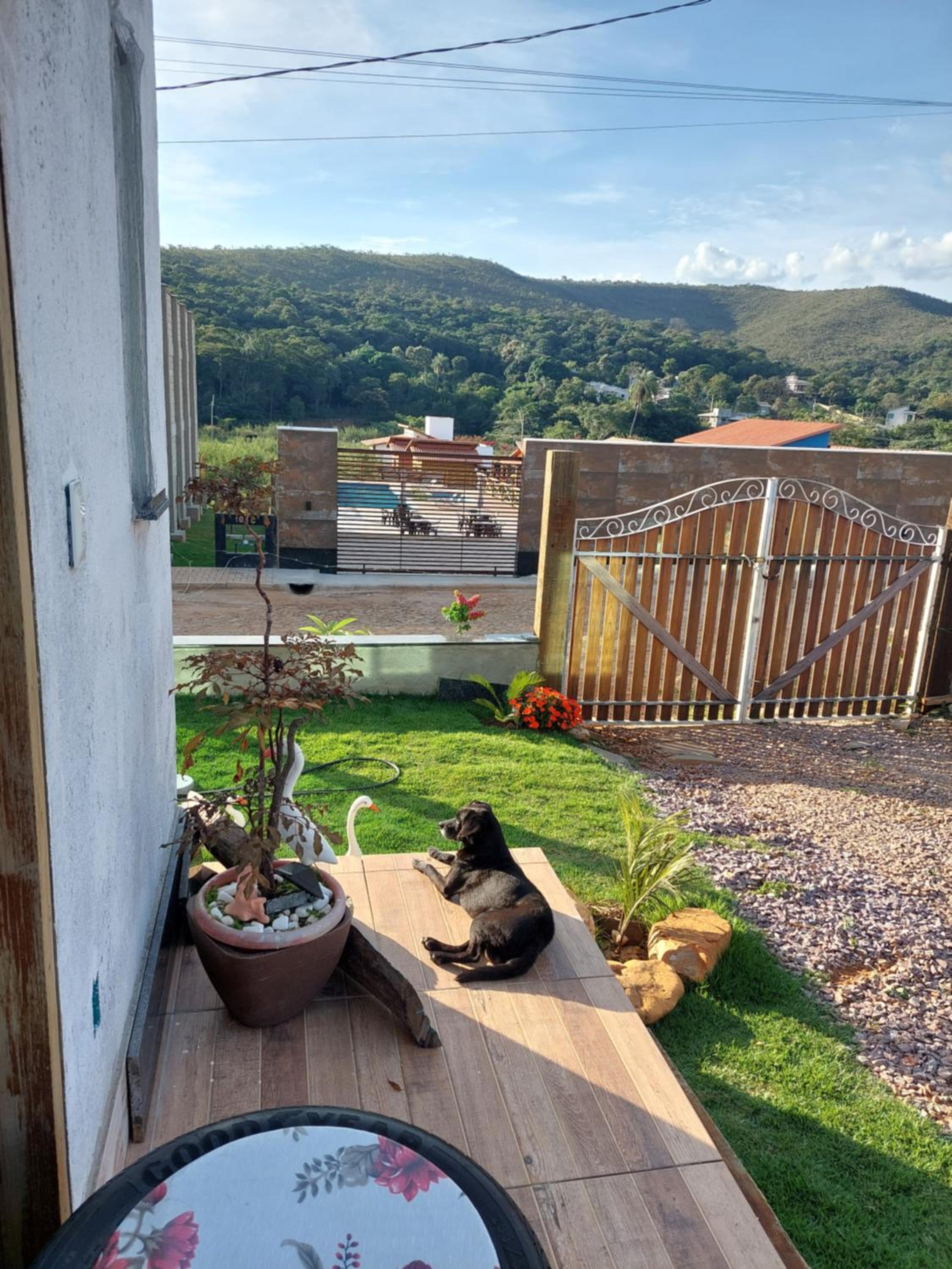 Suite with Balcony photo 3